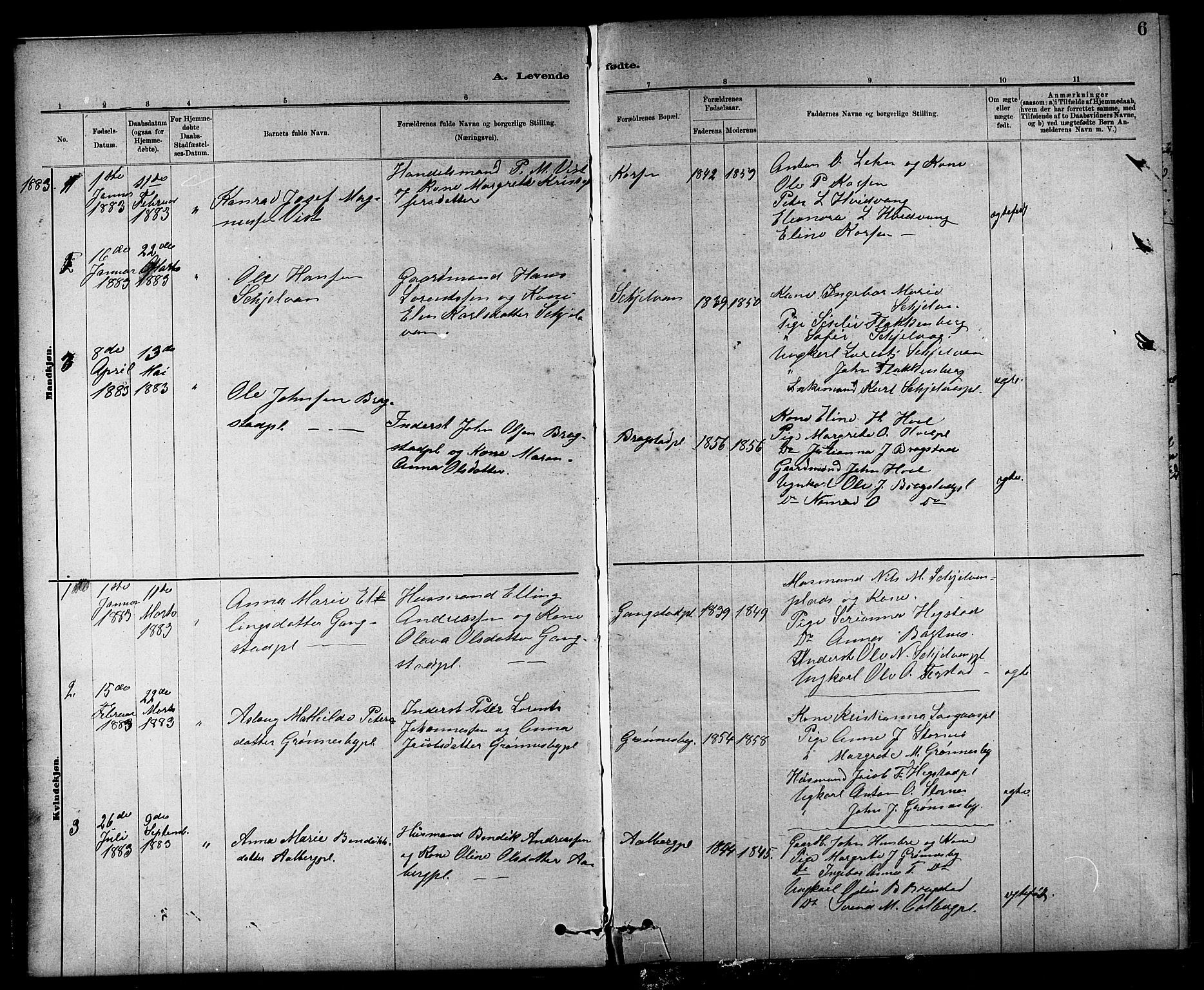 Ministerialprotokoller, klokkerbøker og fødselsregistre - Nord-Trøndelag, SAT/A-1458/732/L0318: Parish register (copy) no. 732C02, 1881-1911, p. 6