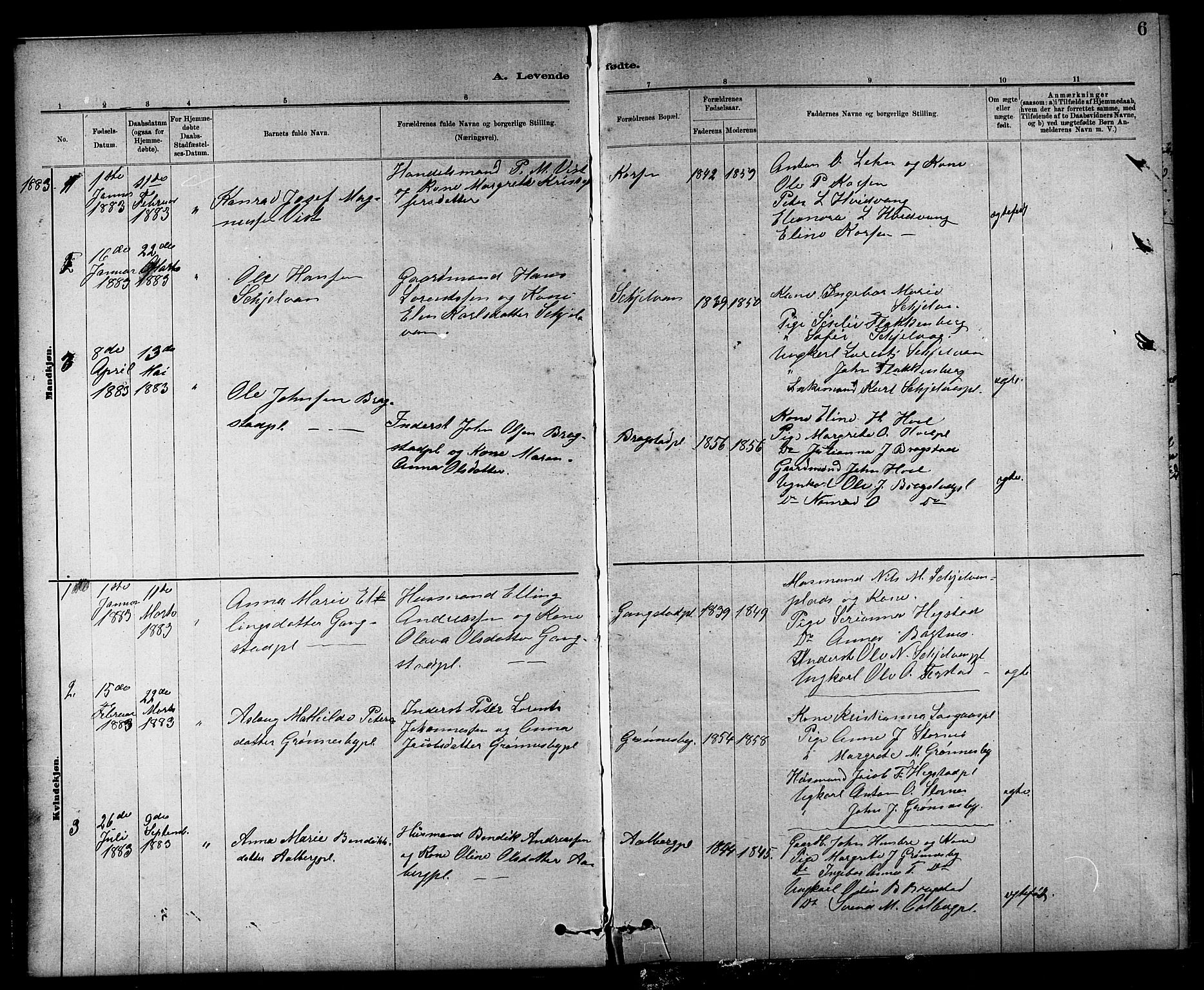 Ministerialprotokoller, klokkerbøker og fødselsregistre - Nord-Trøndelag, AV/SAT-A-1458/732/L0318: Parish register (copy) no. 732C02, 1881-1911, p. 6