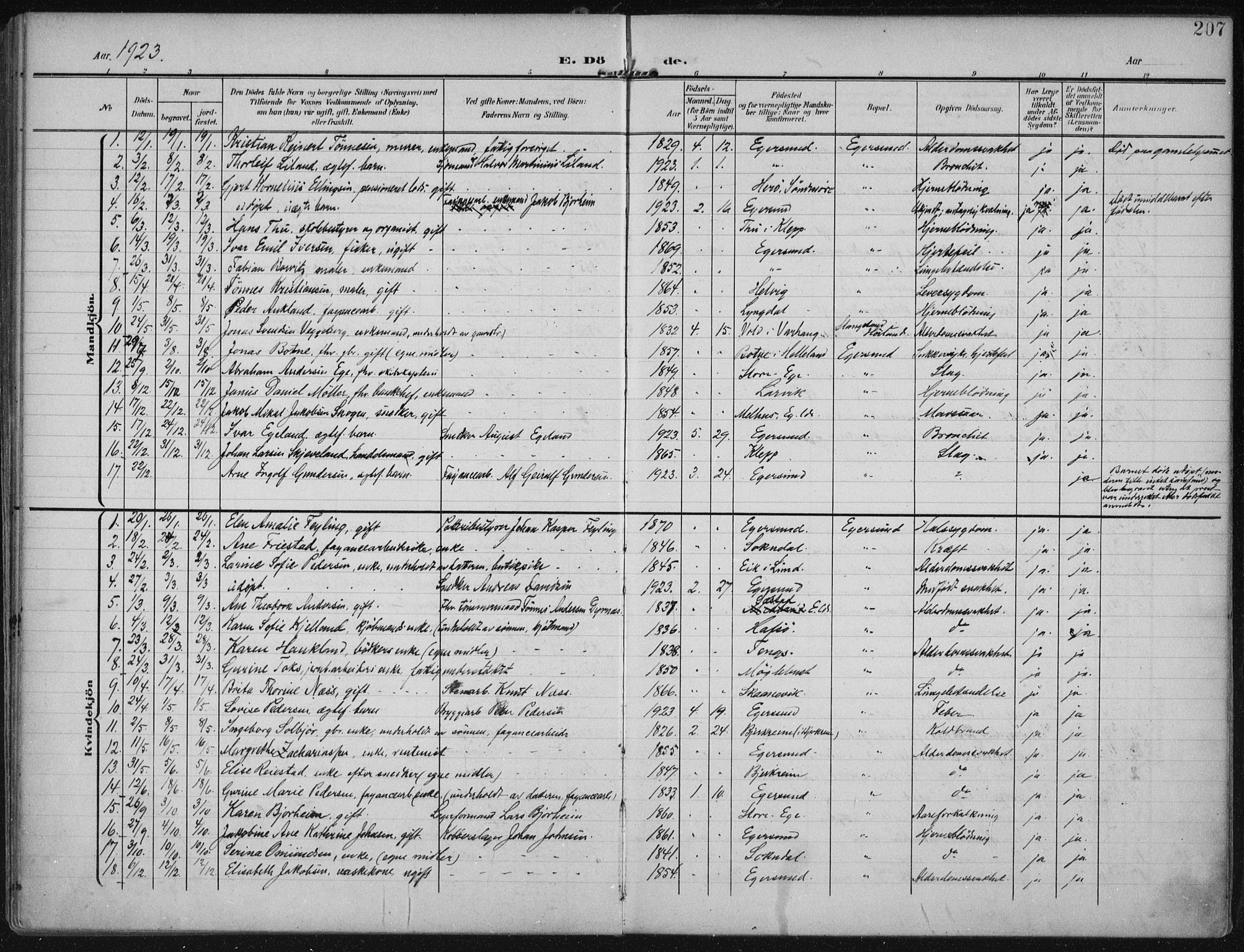 Eigersund sokneprestkontor, SAST/A-101807/S08/L0022: Parish register (official) no. A 21, 1905-1928, p. 207