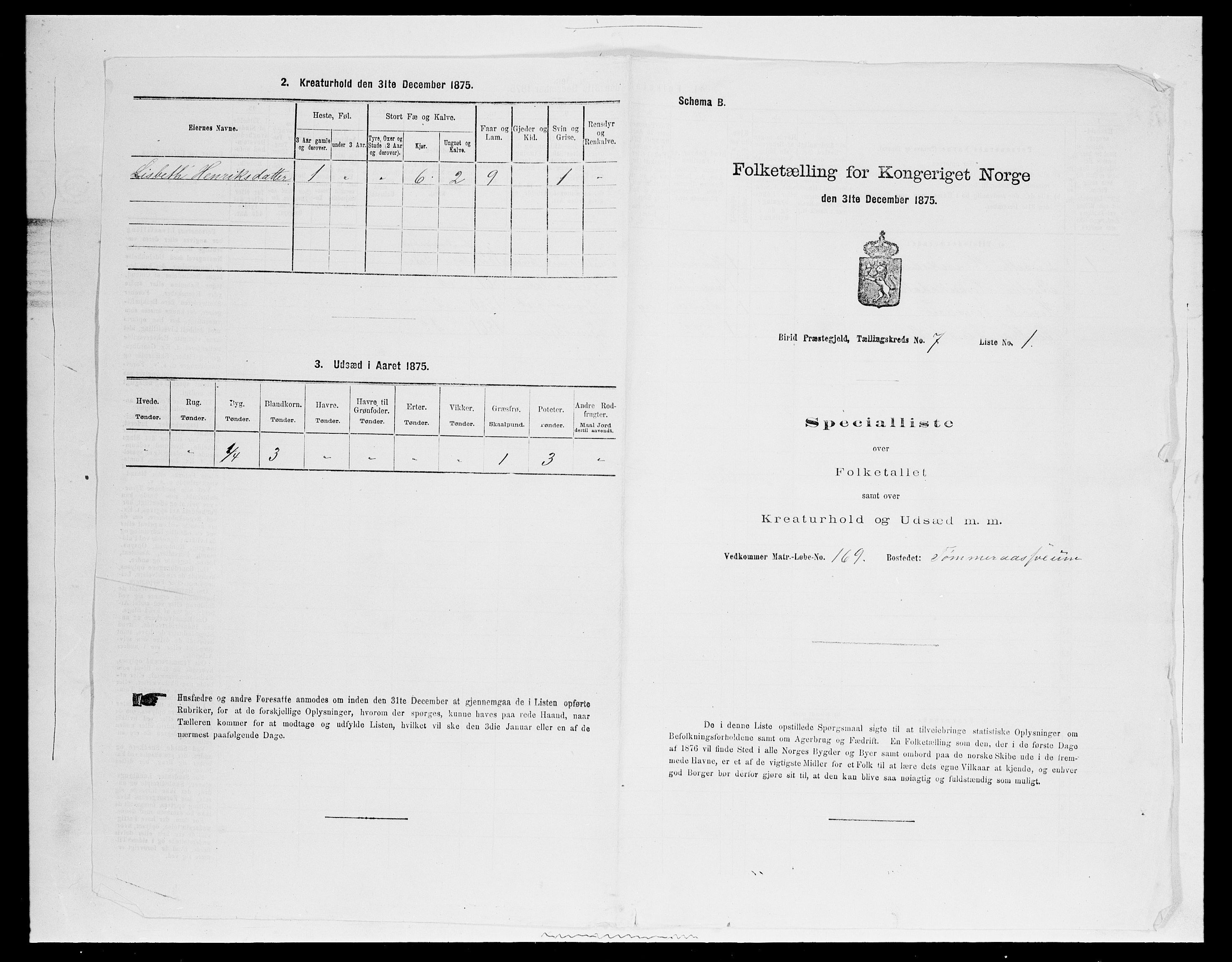 SAH, 1875 census for 0525P Biri, 1875, p. 1294