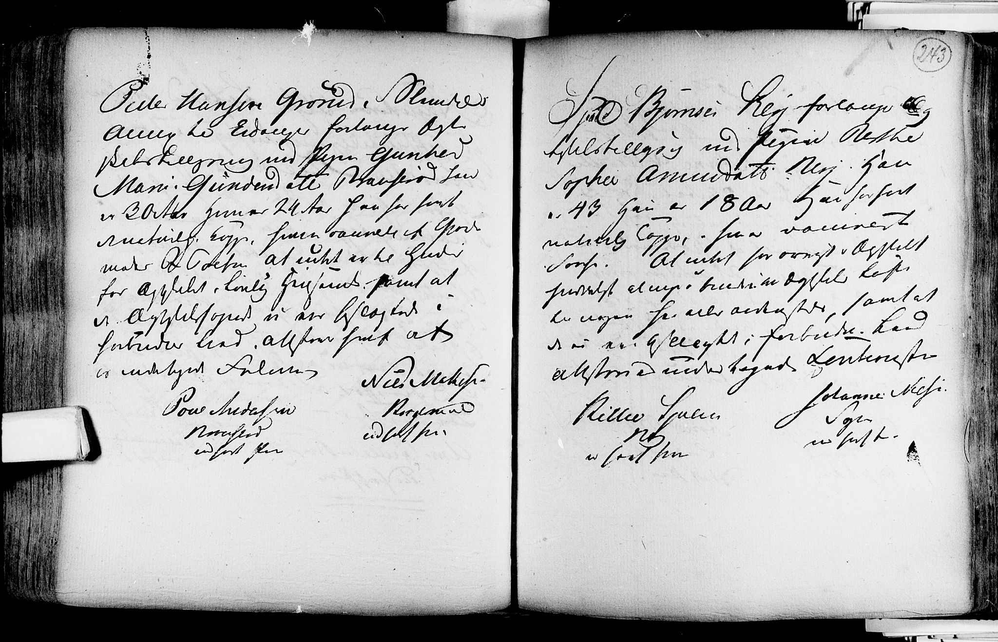 Lardal kirkebøker, AV/SAKO-A-350/F/Fa/L0004: Parish register (official) no. i 4, 1733-1815, p. 243