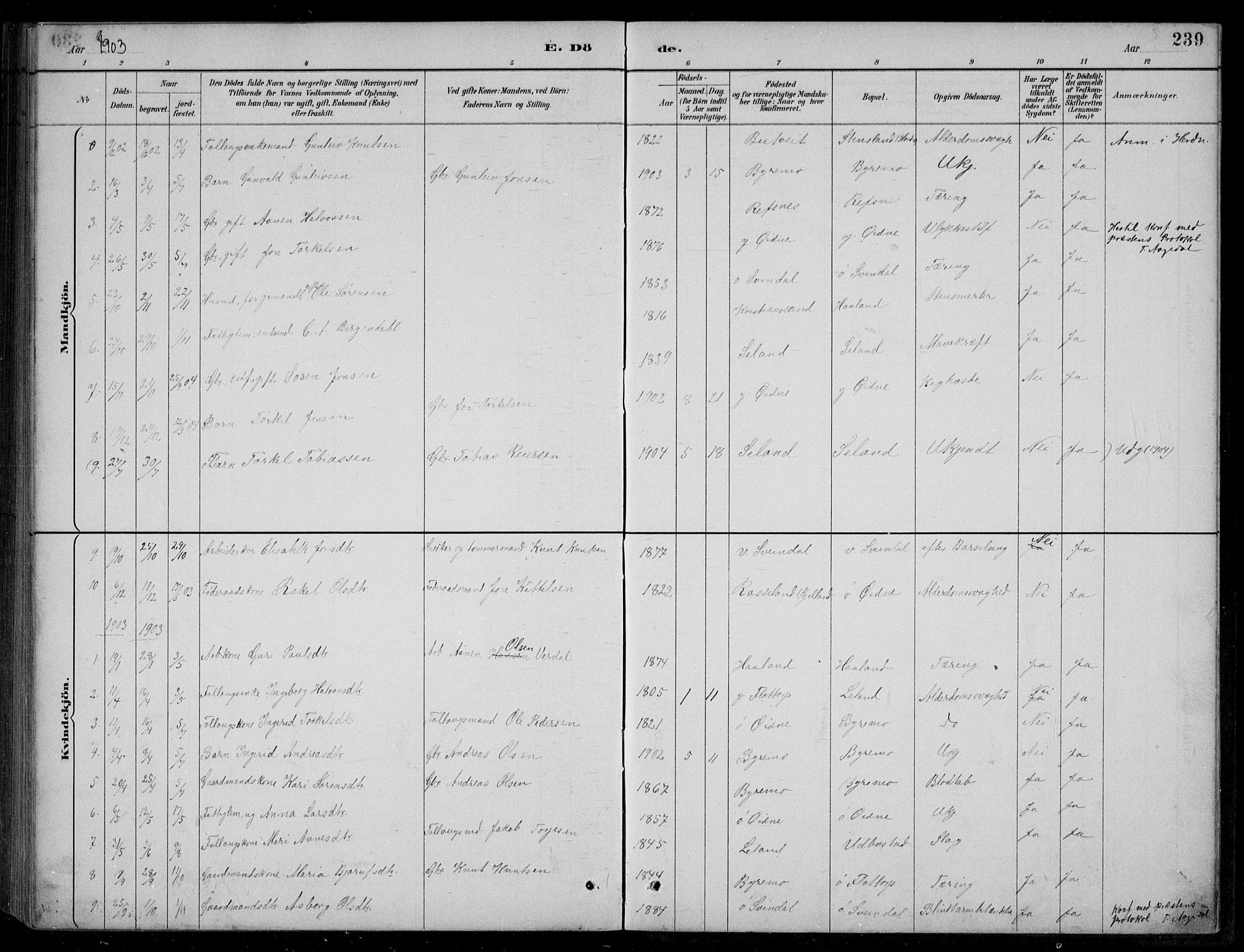 Bjelland sokneprestkontor, AV/SAK-1111-0005/F/Fb/Fbc/L0003: Parish register (copy) no. B 3, 1887-1924, p. 239