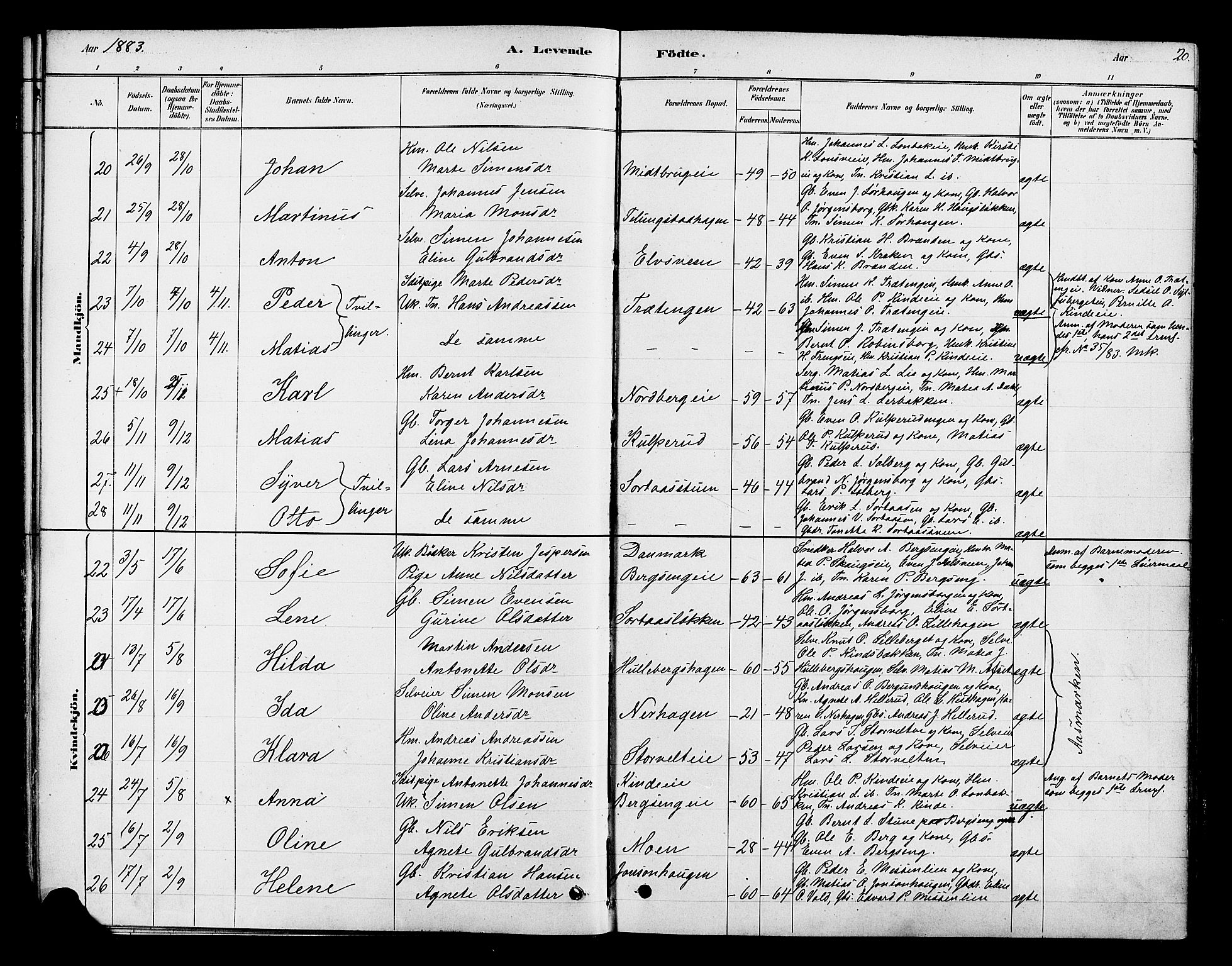 Ringsaker prestekontor, AV/SAH-PREST-014/K/Ka/L0013: Parish register (official) no. 13, 1879-1890, p. 20