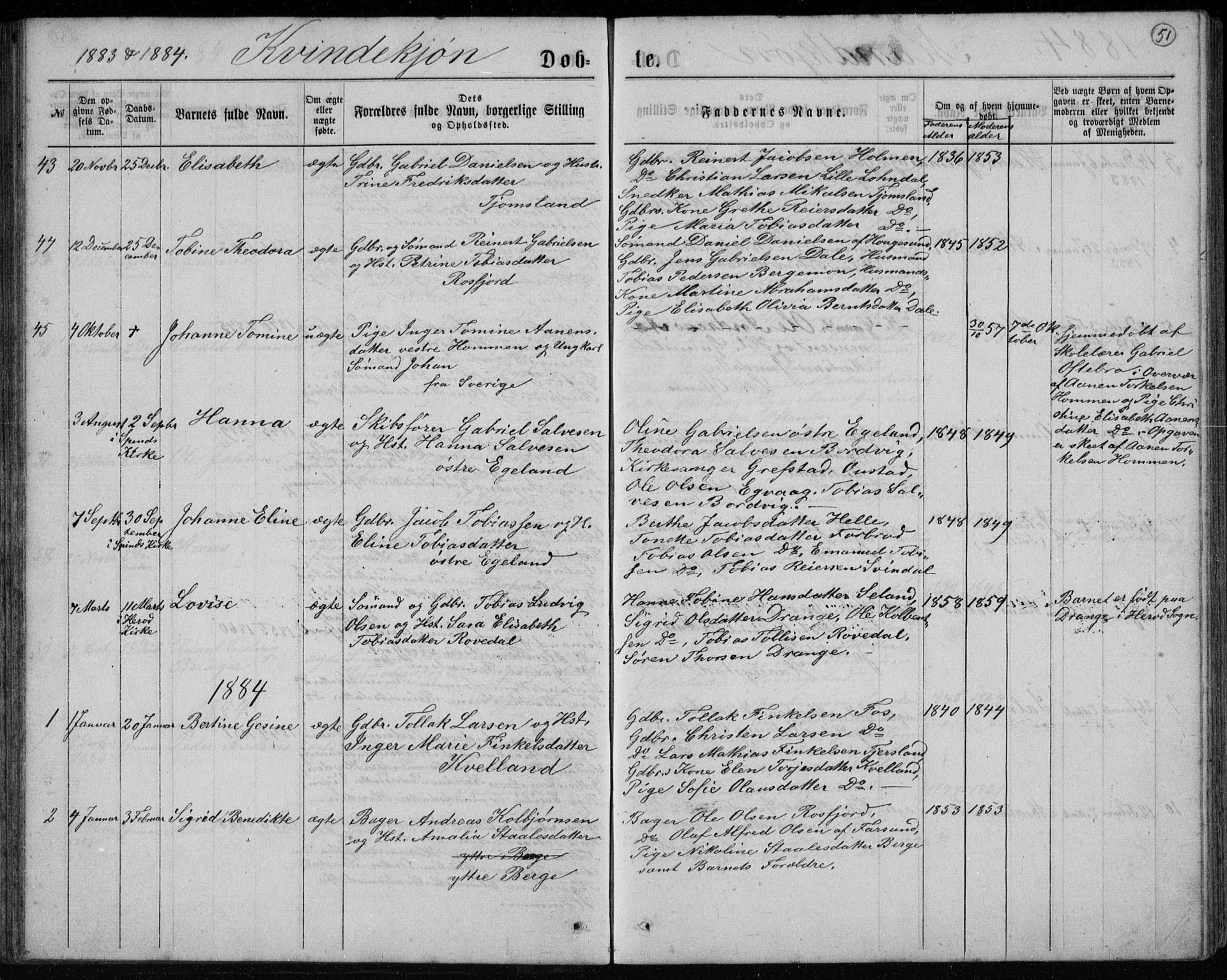 Lyngdal sokneprestkontor, AV/SAK-1111-0029/F/Fb/Fbc/L0004: Parish register (copy) no. B 4, 1878-1896, p. 51