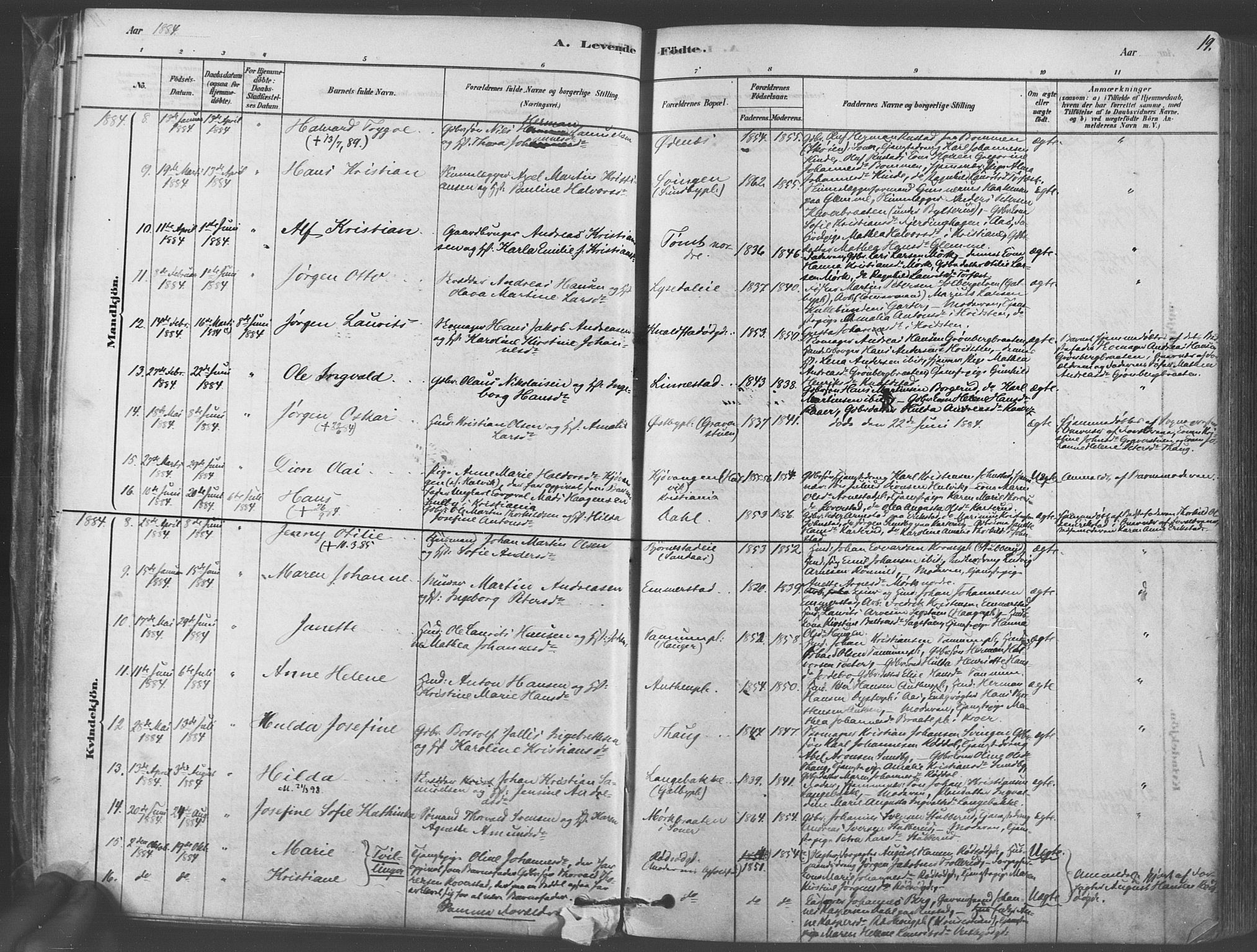 Vestby prestekontor Kirkebøker, AV/SAO-A-10893/F/Fa/L0009: Parish register (official) no. I 9, 1878-1900, p. 19