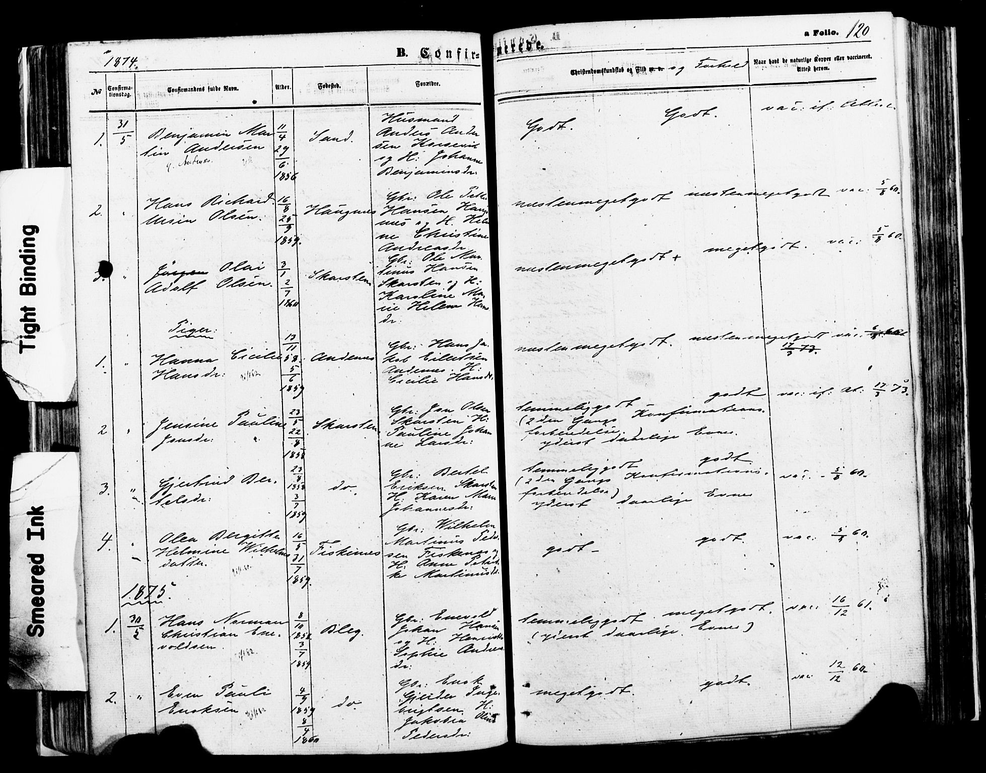 Ministerialprotokoller, klokkerbøker og fødselsregistre - Nordland, AV/SAT-A-1459/897/L1398: Parish register (official) no. 897A05 /2, 1867-1880, p. 120