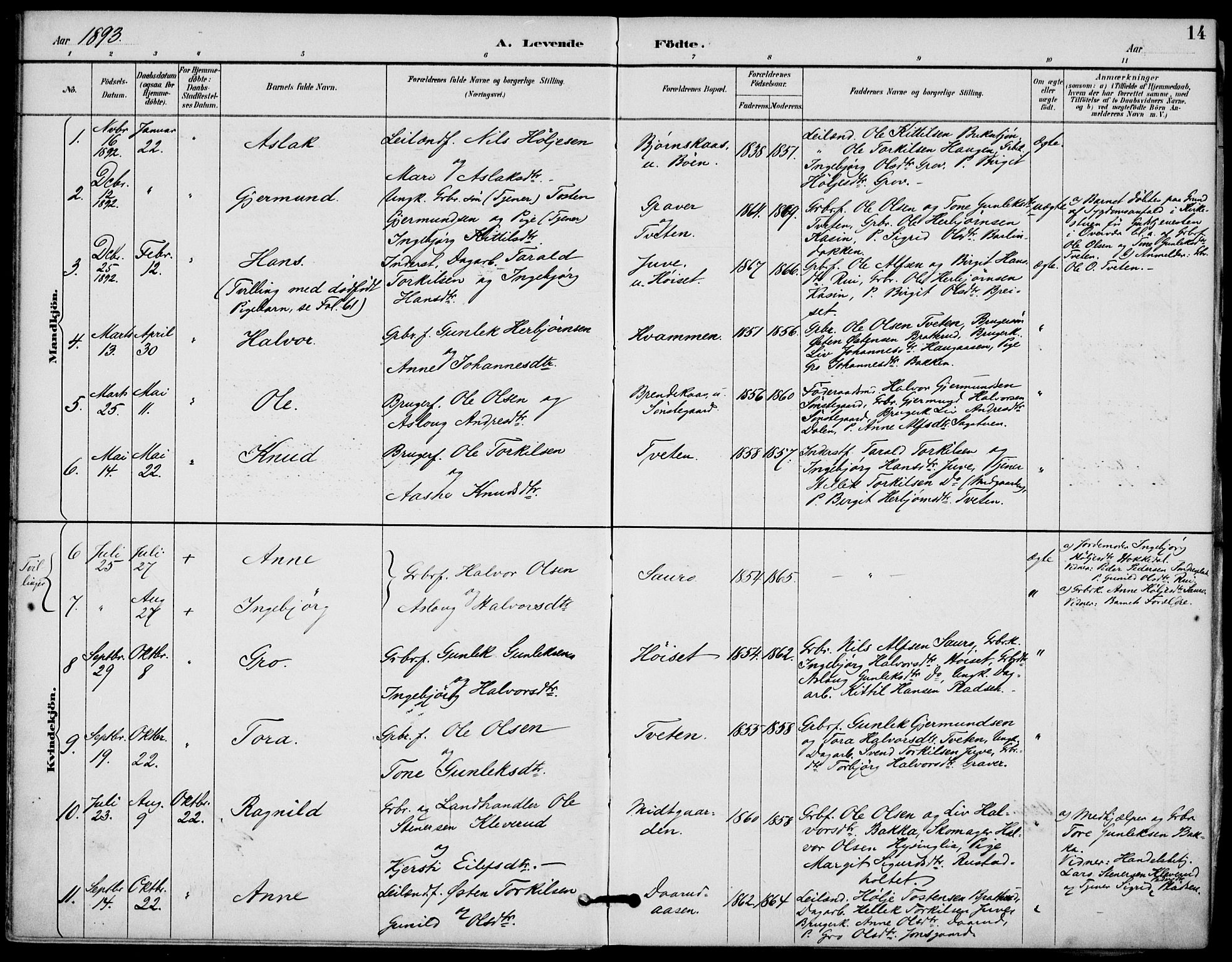 Gransherad kirkebøker, AV/SAKO-A-267/F/Fb/L0005: Parish register (official) no. II 5, 1887-1916, p. 14