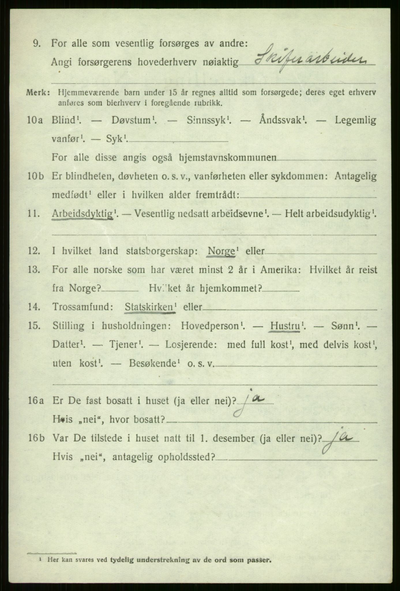 SAB, 1920 census for Voss, 1920, p. 11306