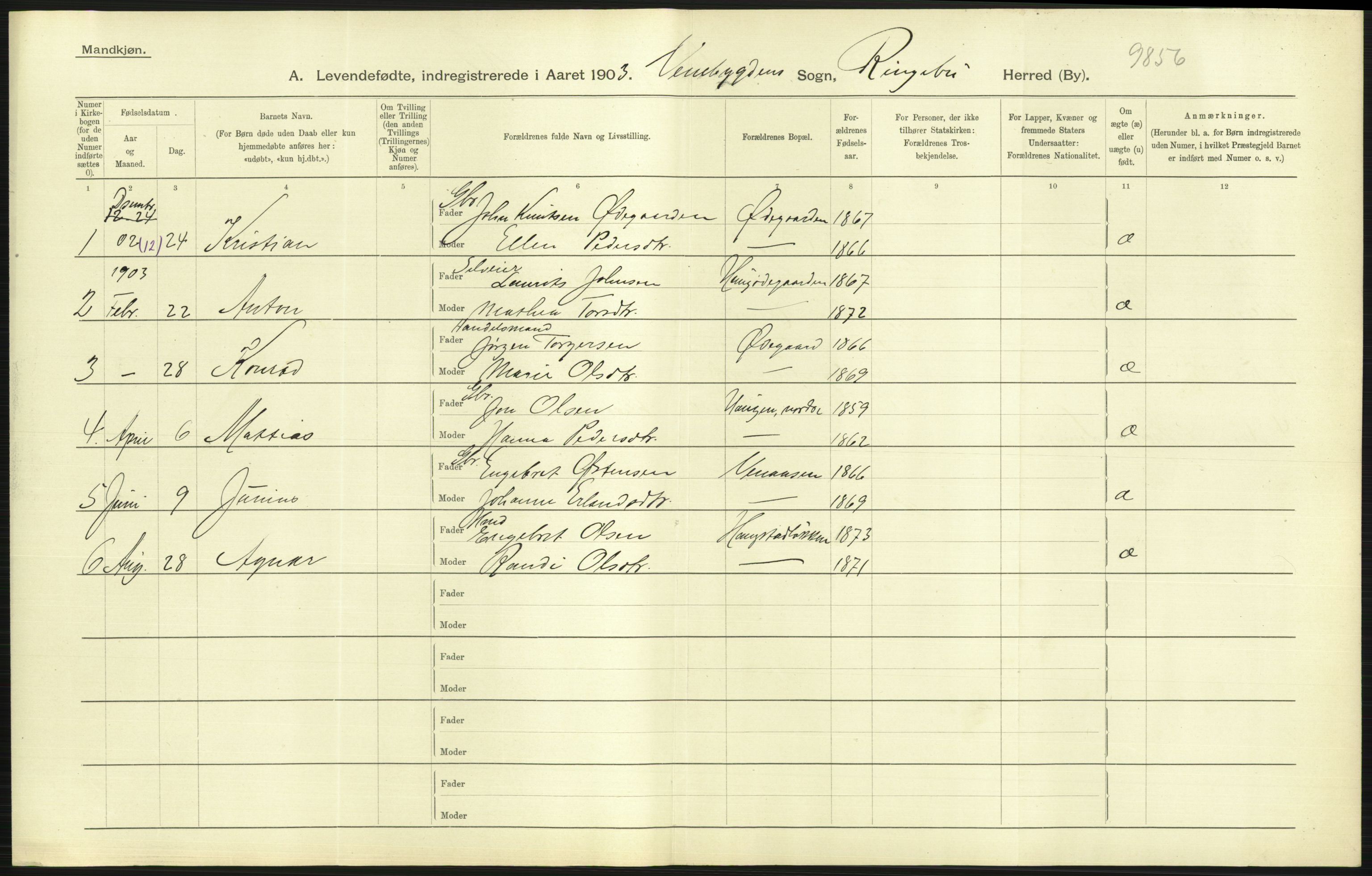 Statistisk sentralbyrå, Sosiodemografiske emner, Befolkning, AV/RA-S-2228/D/Df/Dfa/Dfaa/L0006: Kristians amt: Fødte, gifte, døde, 1903, p. 77