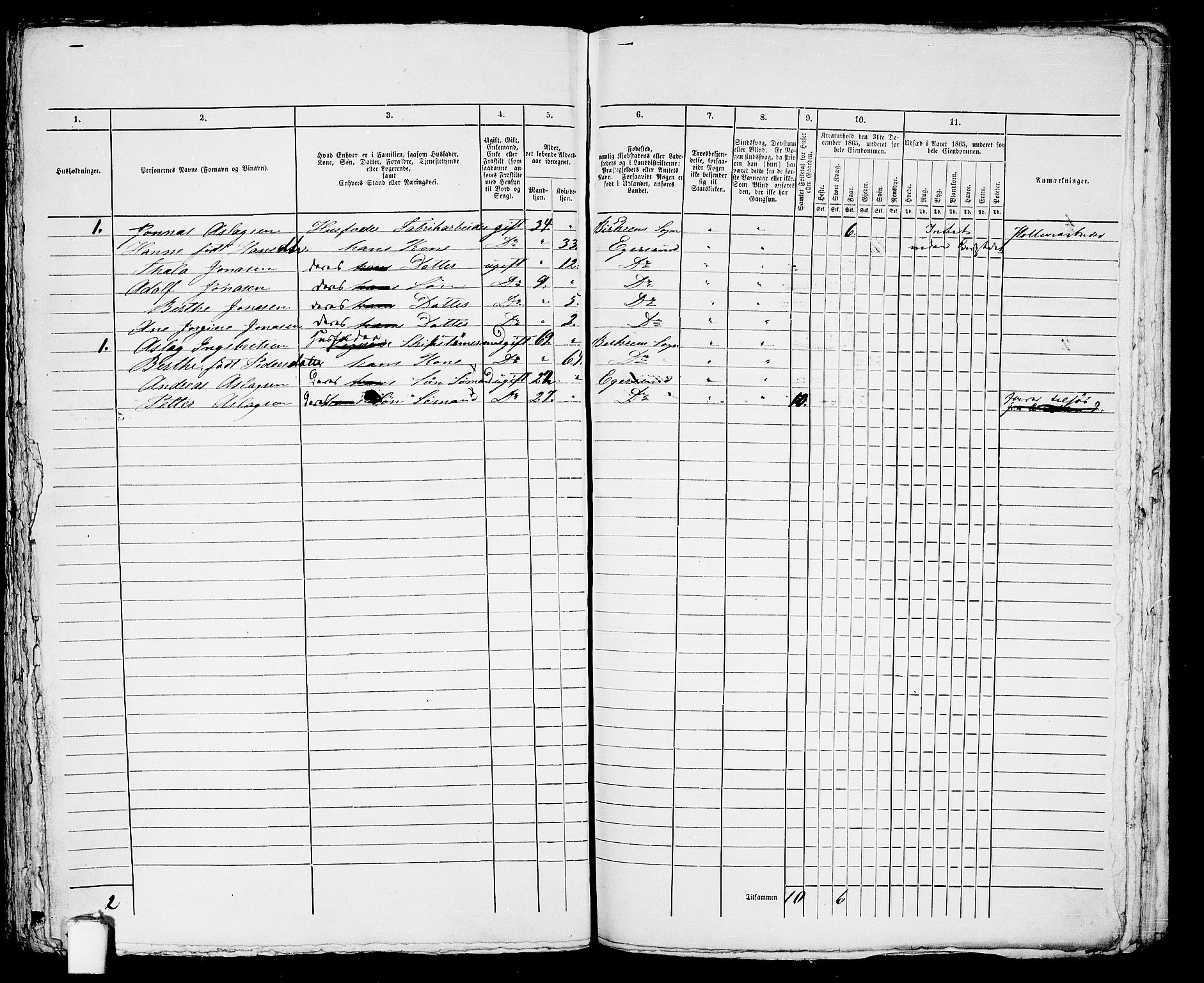 RA, 1865 census for Eigersund parish, Egersund town, 1865, p. 456