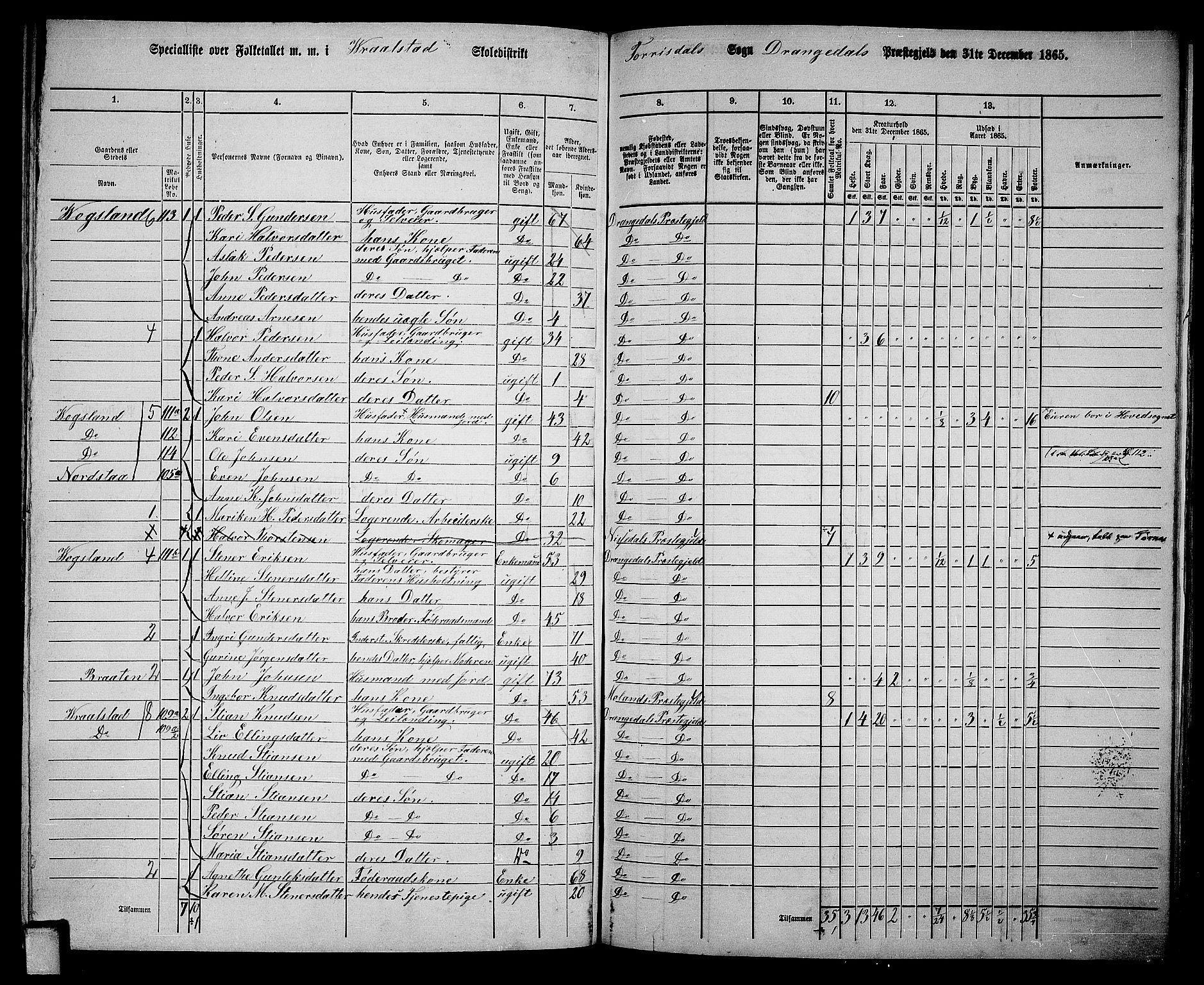 RA, 1865 census for Drangedal, 1865, p. 99