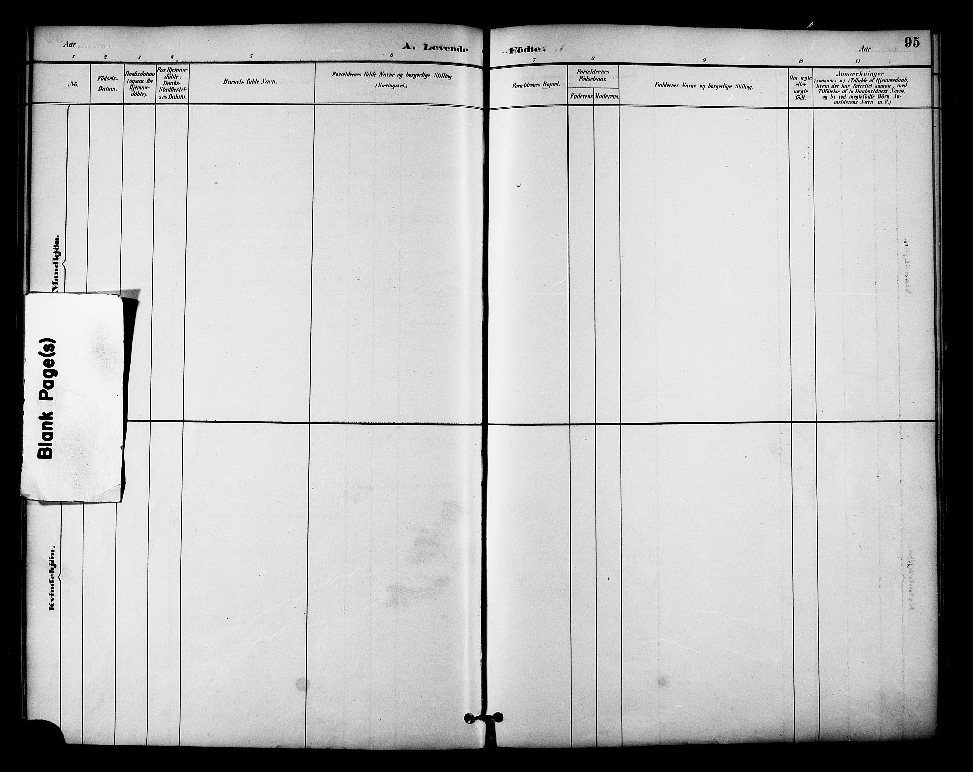 Ministerialprotokoller, klokkerbøker og fødselsregistre - Nordland, AV/SAT-A-1459/810/L0151: Parish register (official) no. 810A10 /2, 1885-1895, p. 95