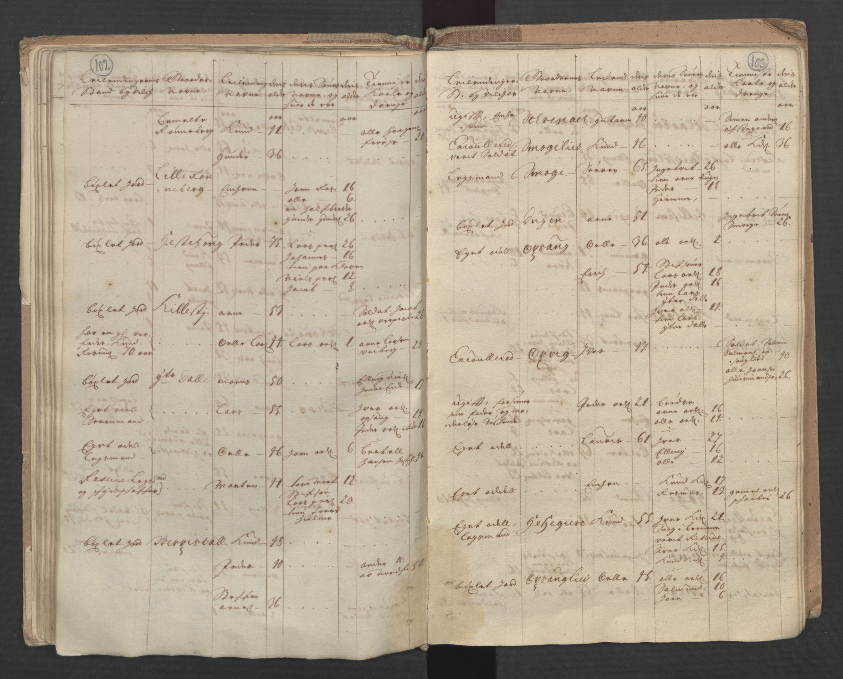 RA, Census (manntall) 1701, no. 10: Sunnmøre fogderi, 1701, p. 102-103