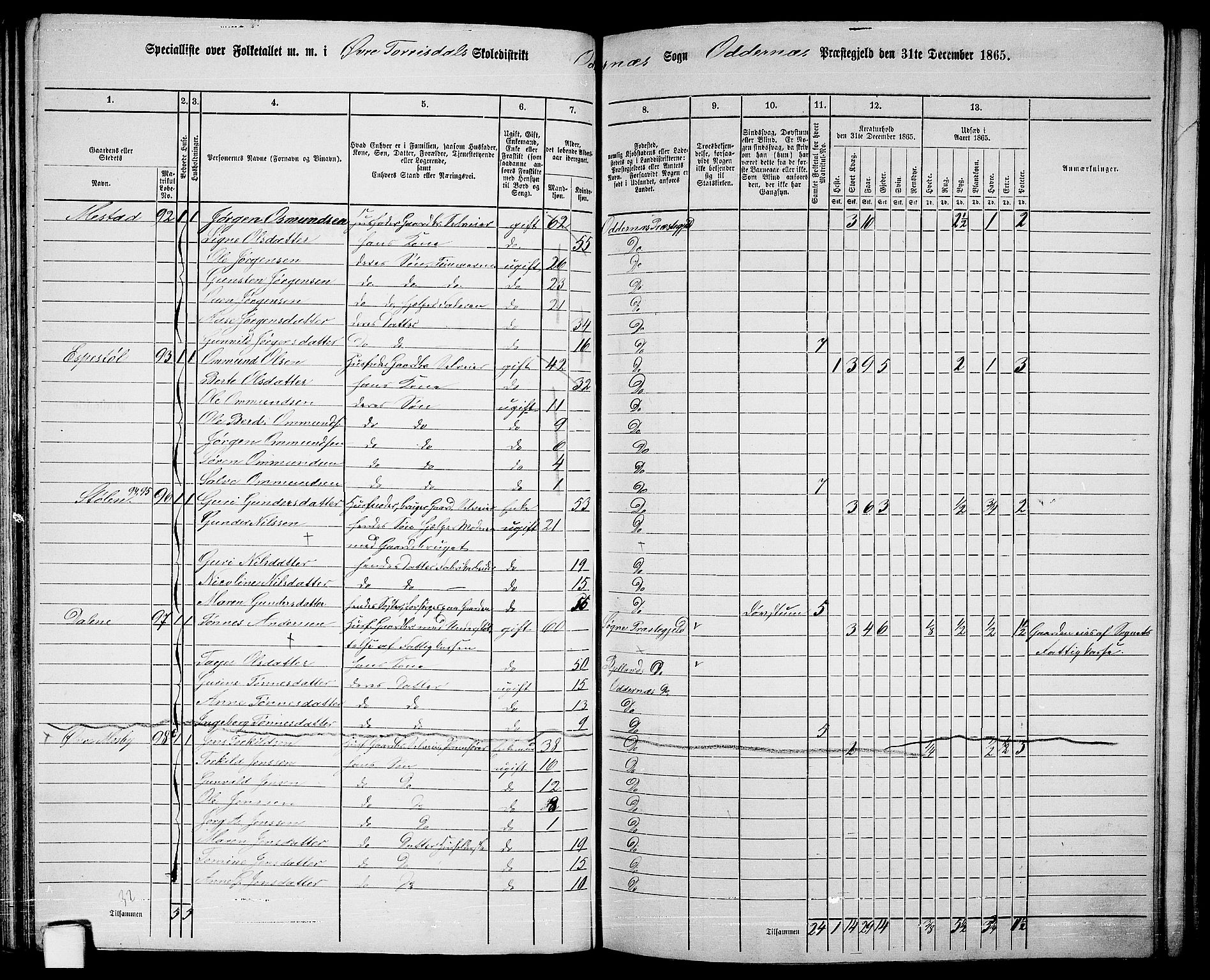 RA, 1865 census for Oddernes, 1865, p. 66