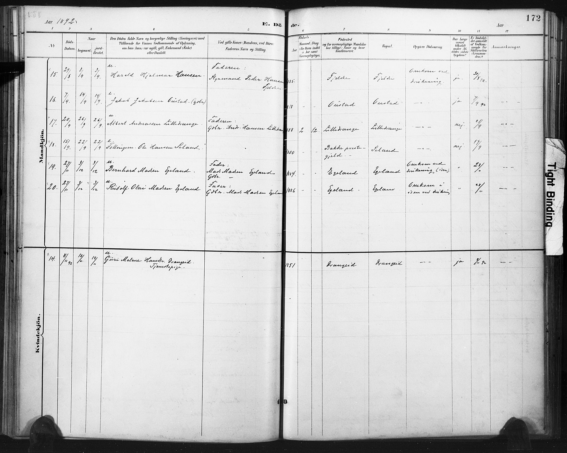 Flekkefjord sokneprestkontor, SAK/1111-0012/F/Fa/Fac/L0008: Parish register (official) no. A 8, 1885-1898, p. 172
