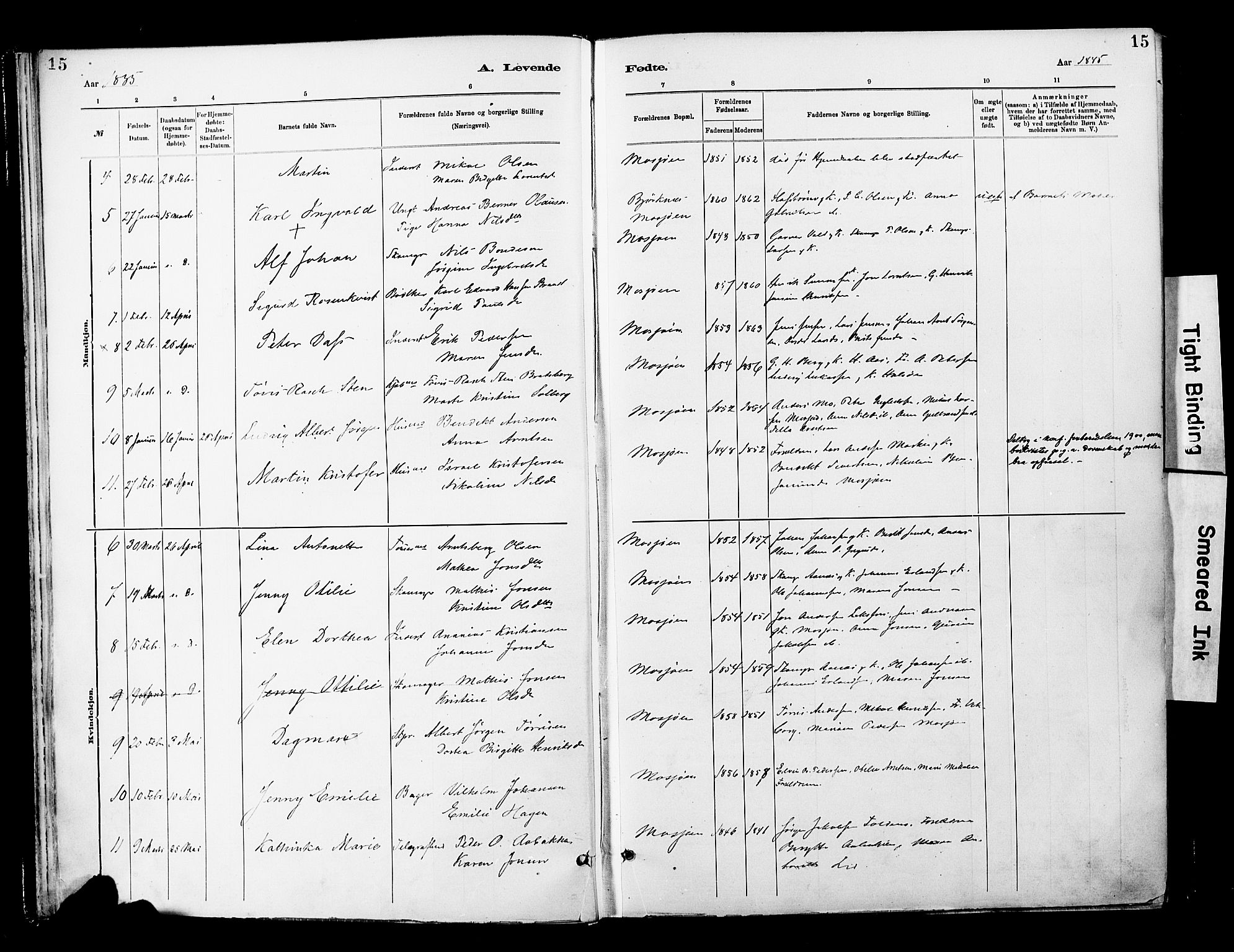 Ministerialprotokoller, klokkerbøker og fødselsregistre - Nordland, AV/SAT-A-1459/820/L0296: Parish register (official) no. 820A17, 1880-1903, p. 15