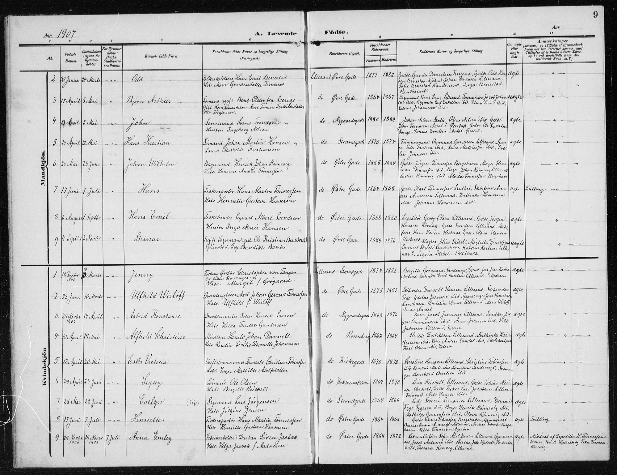 Vestre Moland sokneprestkontor, AV/SAK-1111-0046/F/Fb/Fba/L0002: Parish register (copy) no. B 2, 1904-1934, p. 9