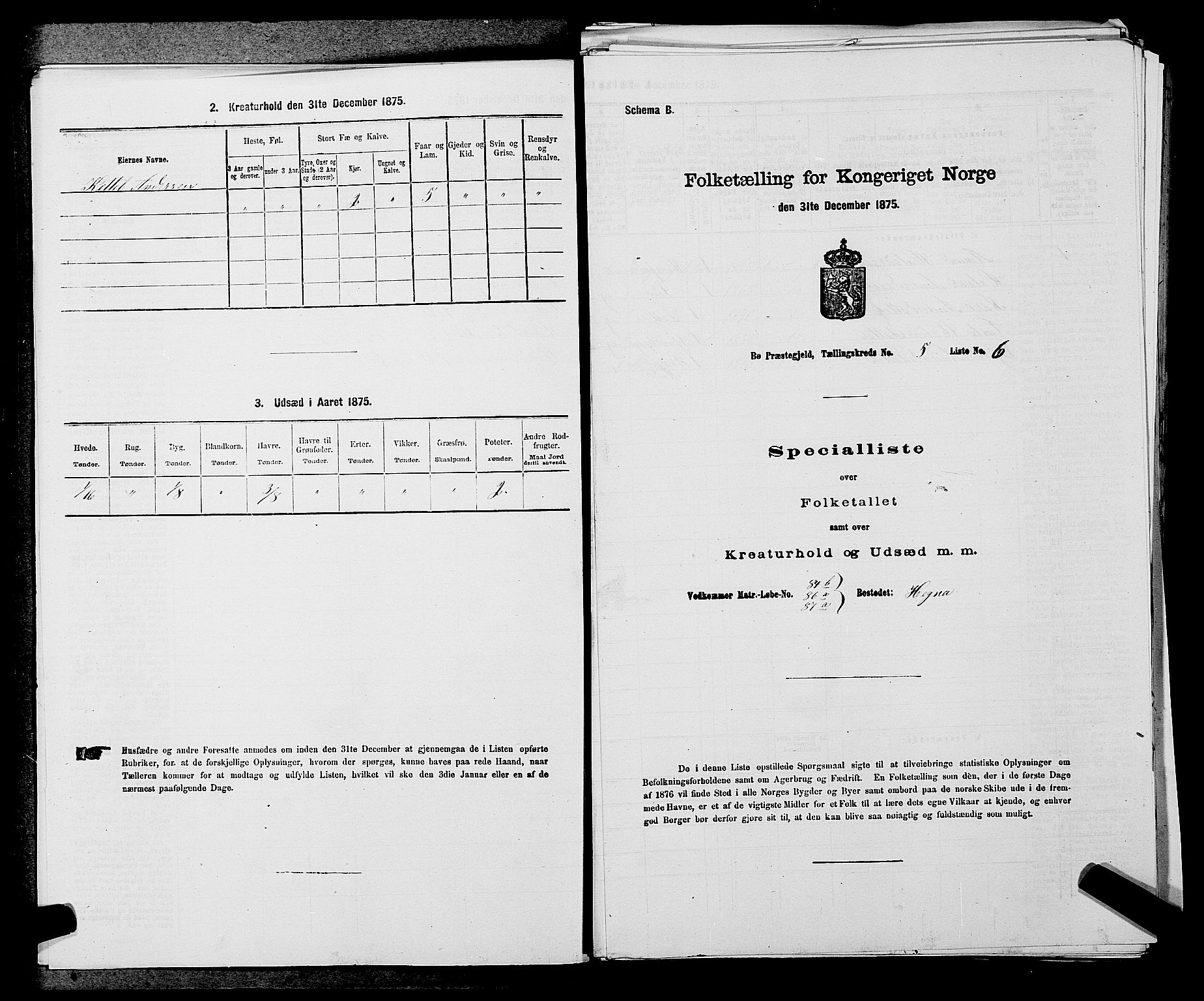 SAKO, 1875 census for 0821P Bø, 1875, p. 608