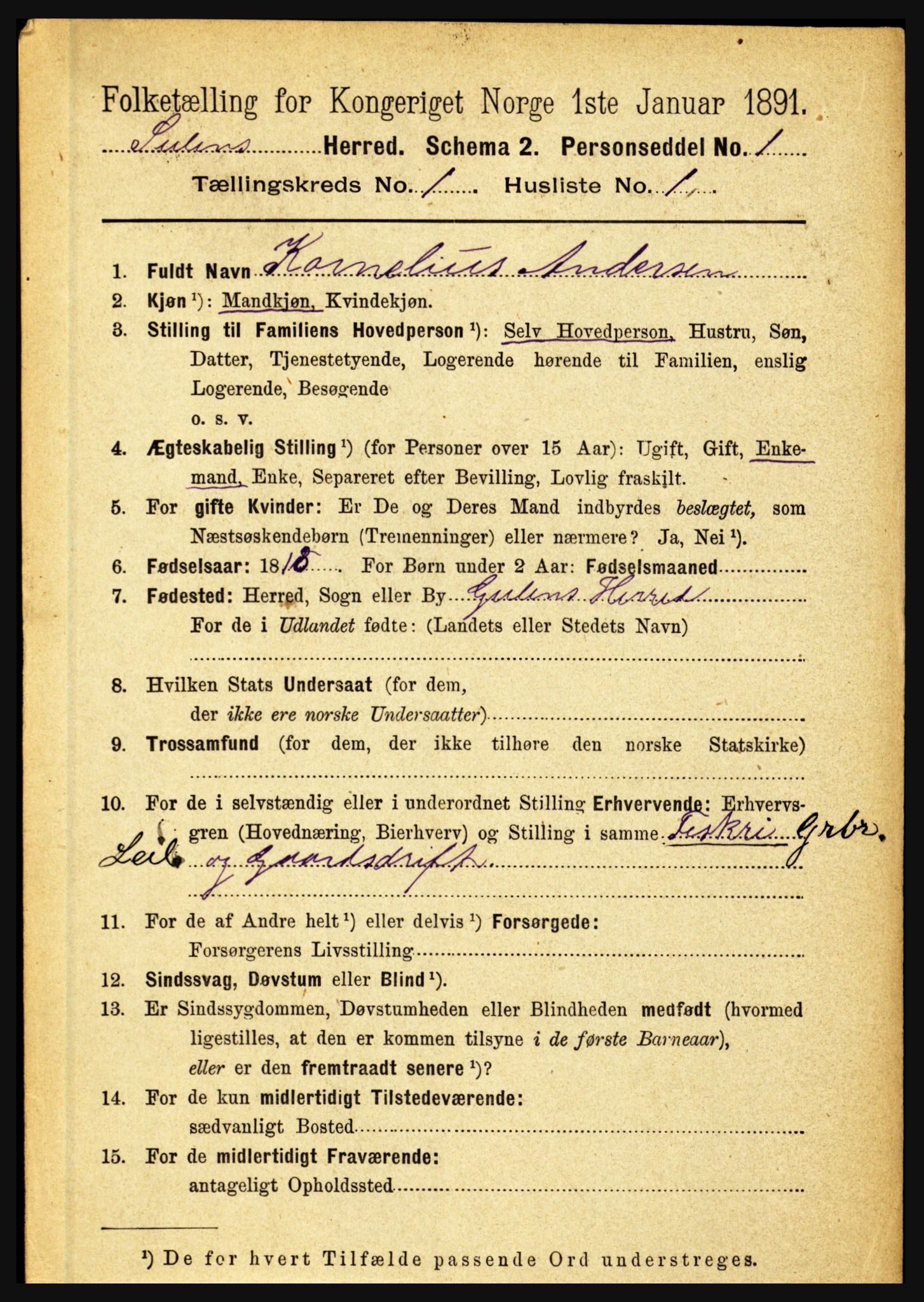 RA, 1891 census for 1412 Solund, 1891, p. 98