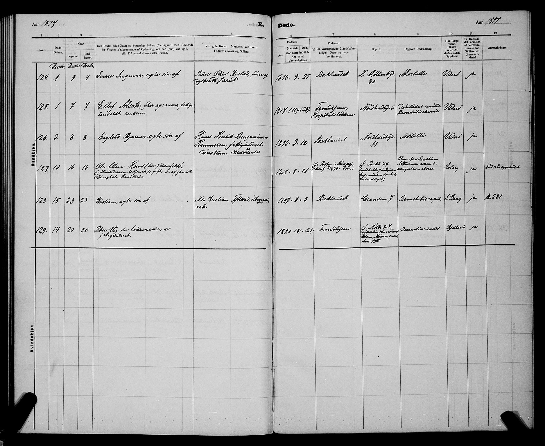 Ministerialprotokoller, klokkerbøker og fødselsregistre - Sør-Trøndelag, AV/SAT-A-1456/604/L0224: Parish register (copy) no. 604C07, 1894-1898