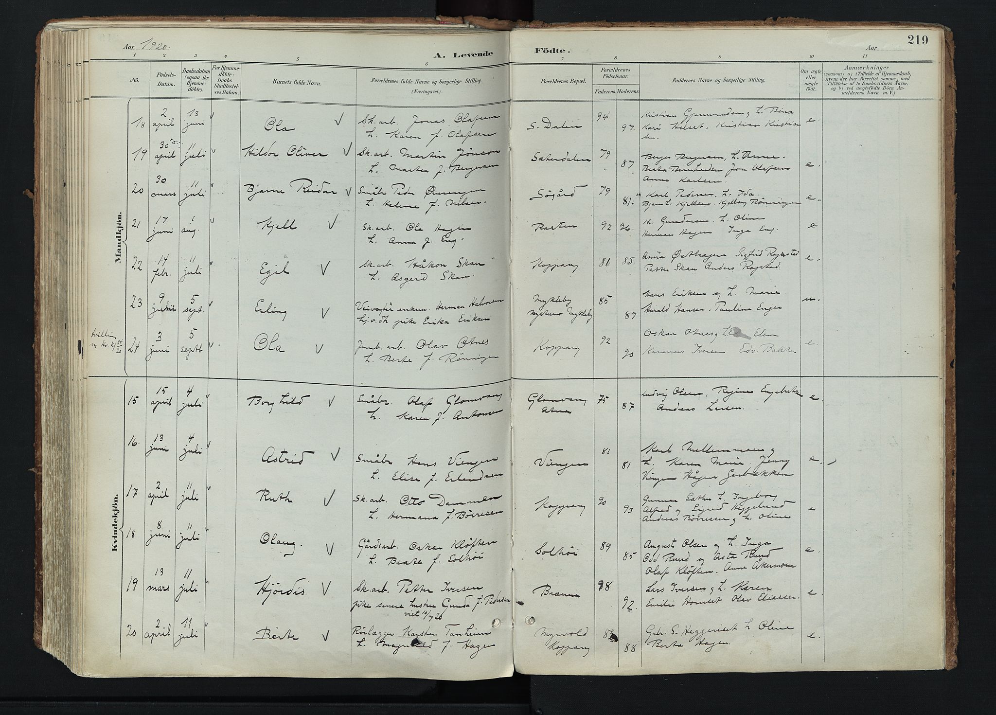 Stor-Elvdal prestekontor, AV/SAH-PREST-052/H/Ha/Haa/L0004: Parish register (official) no. 4, 1890-1922, p. 219