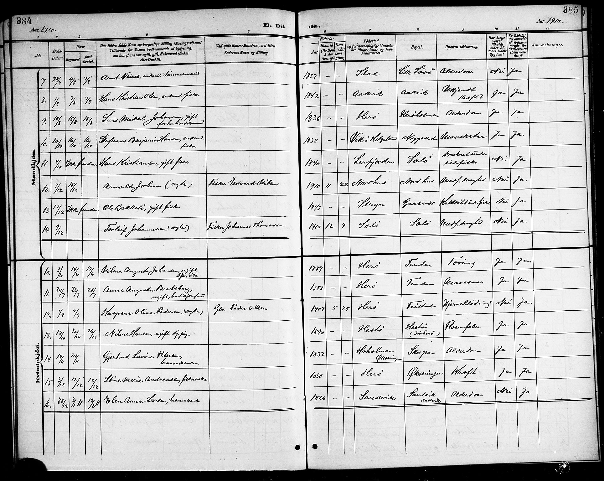 Ministerialprotokoller, klokkerbøker og fødselsregistre - Nordland, SAT/A-1459/834/L0516: Parish register (copy) no. 834C06, 1902-1918, p. 384-385