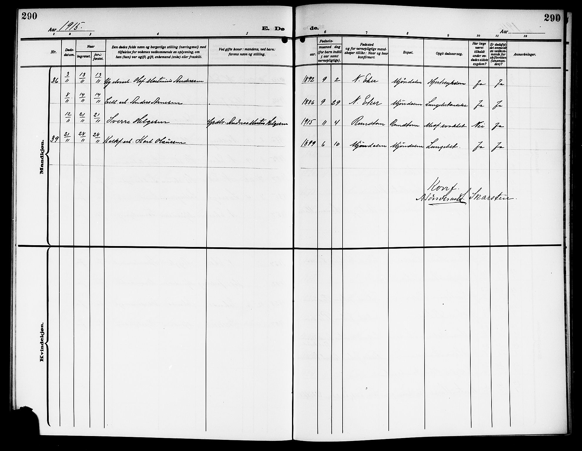 Nedre Eiker kirkebøker, SAKO/A-612/G/Ga/L0005: Parish register (copy) no. 5, 1913-1921, p. 290