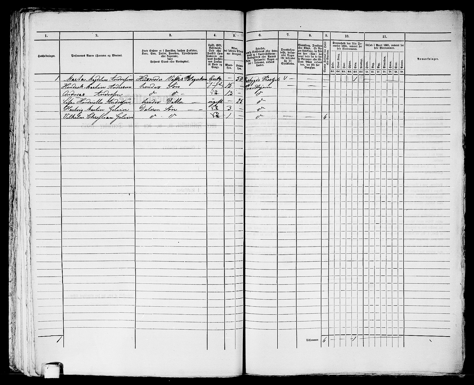 RA, 1865 census for Trondheim, 1865, p. 2040