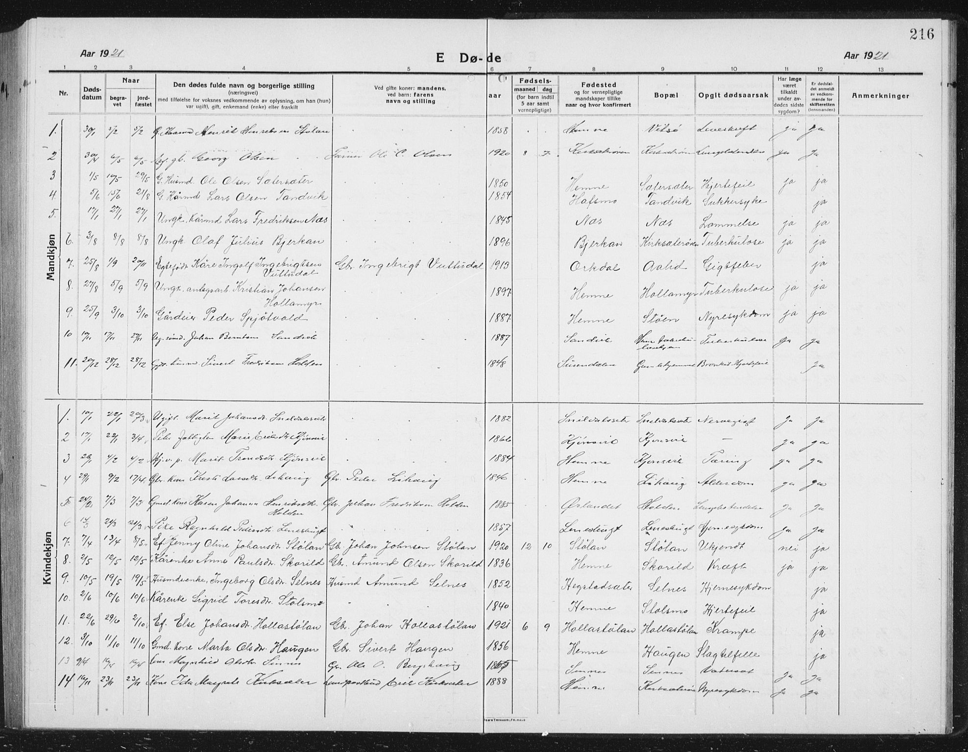 Ministerialprotokoller, klokkerbøker og fødselsregistre - Sør-Trøndelag, SAT/A-1456/630/L0506: Parish register (copy) no. 630C04, 1914-1933, p. 216