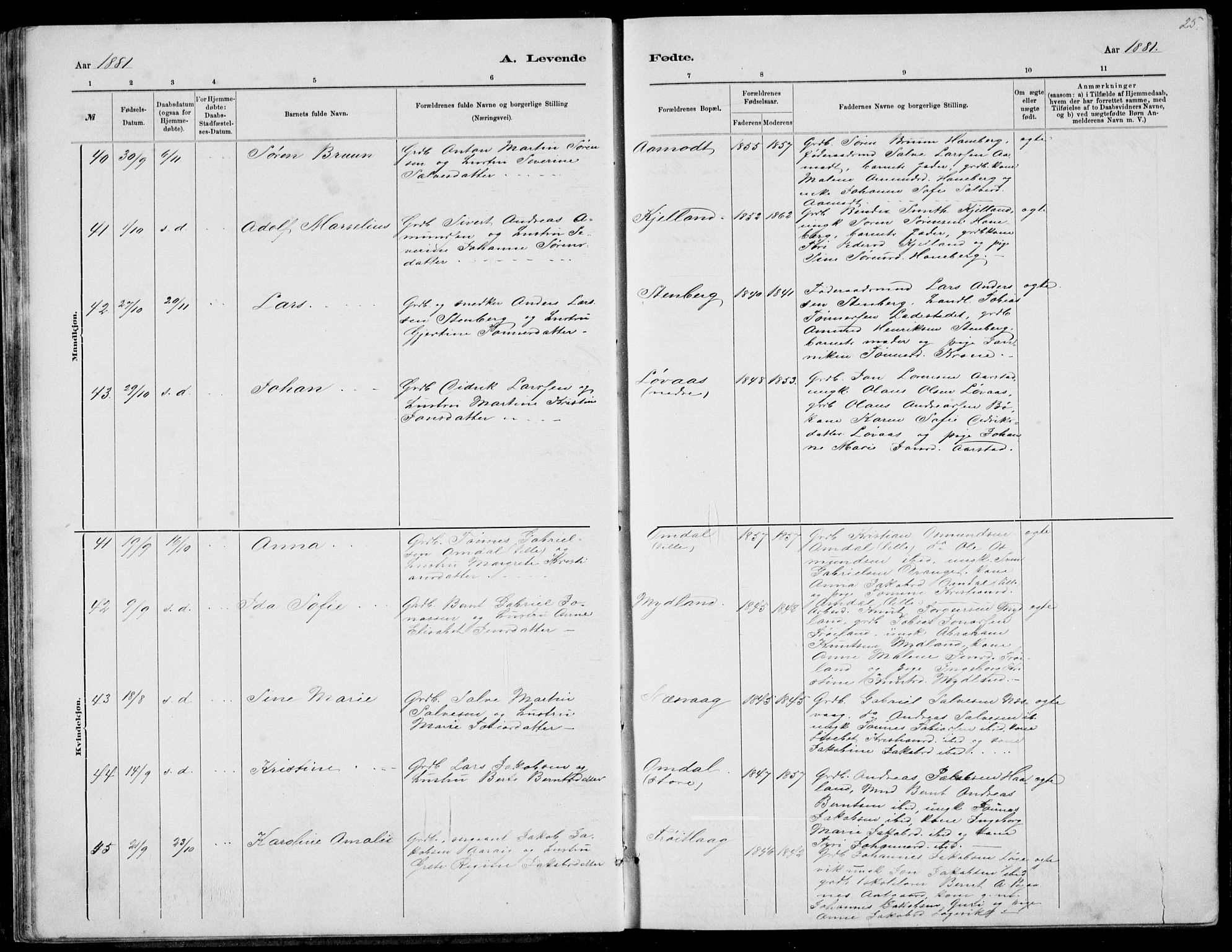 Sokndal sokneprestkontor, AV/SAST-A-101808: Parish register (copy) no. B 4, 1880-1891, p. 25