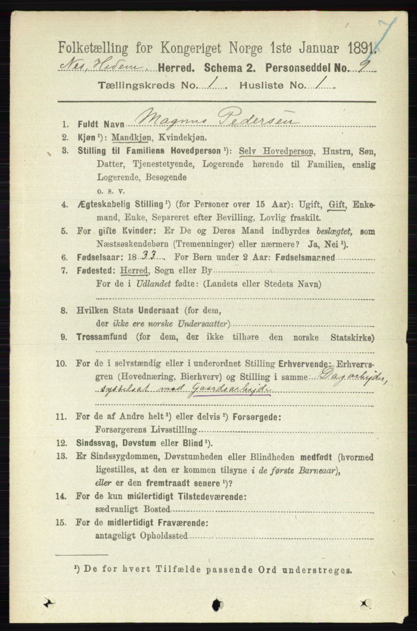 RA, 1891 census for 0411 Nes, 1891, p. 167