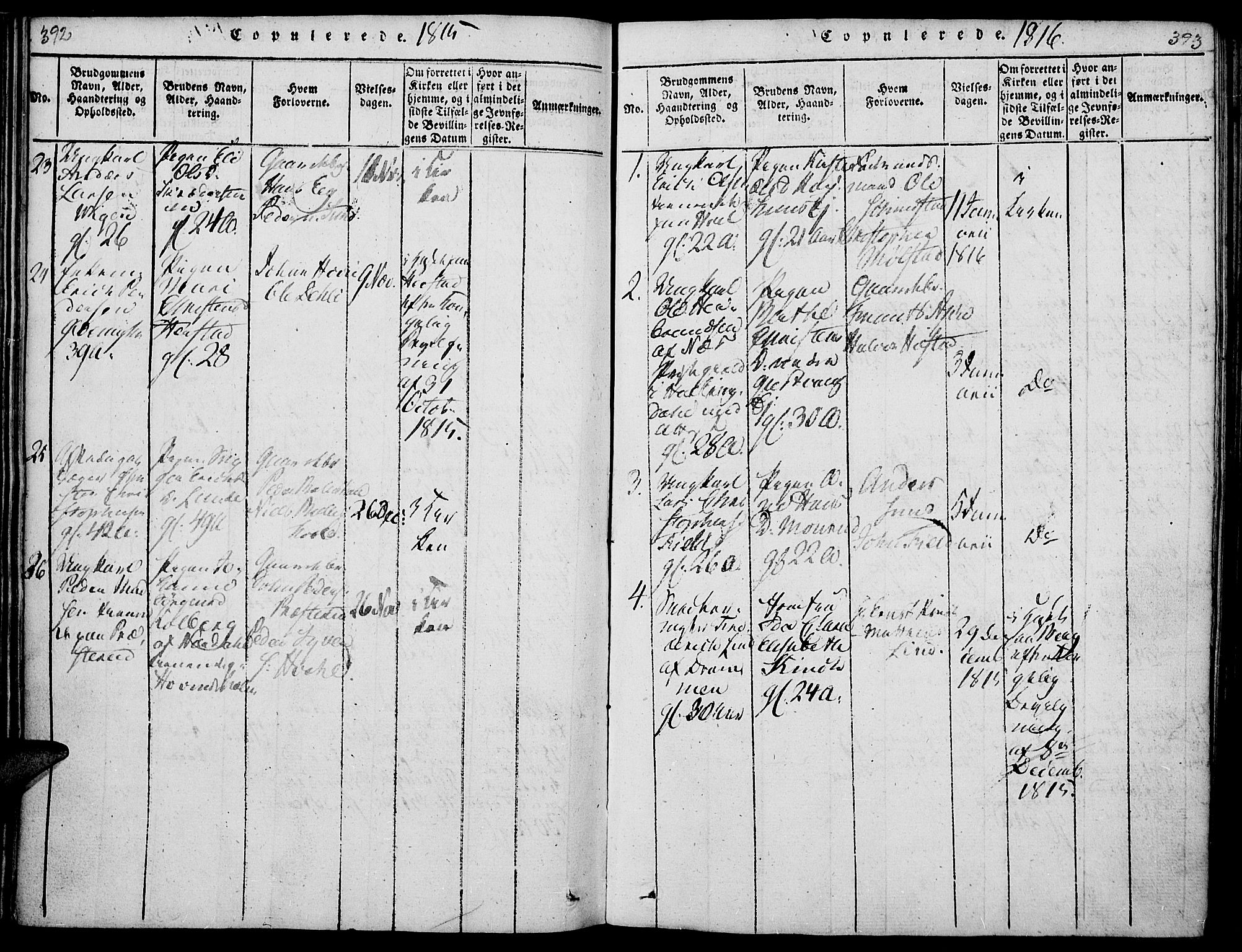 Nes prestekontor, Hedmark, AV/SAH-PREST-020/K/Ka/L0002: Parish register (official) no. 2, 1813-1827, p. 392-393