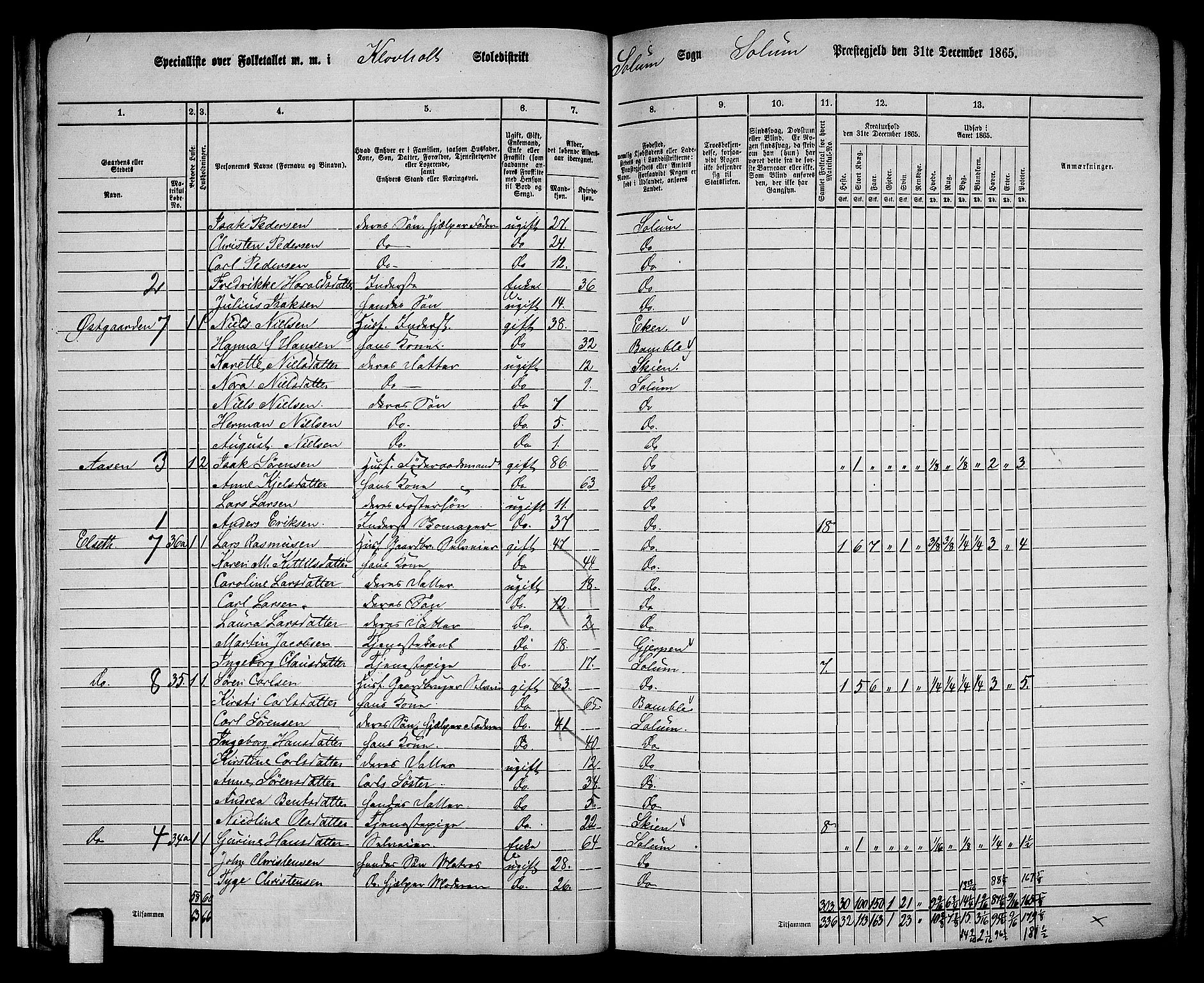 RA, 1865 census for Solum, 1865, p. 26