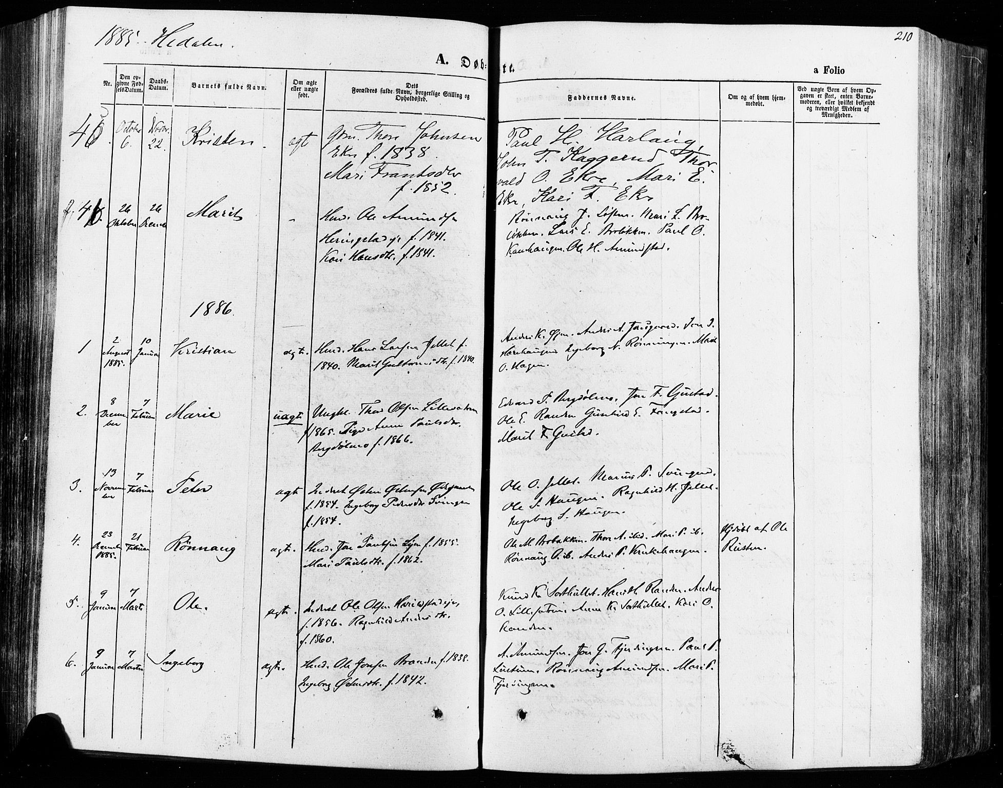 Vågå prestekontor, SAH/PREST-076/H/Ha/Haa/L0007: Parish register (official) no. 7 /2, 1873-1886, p. 210
