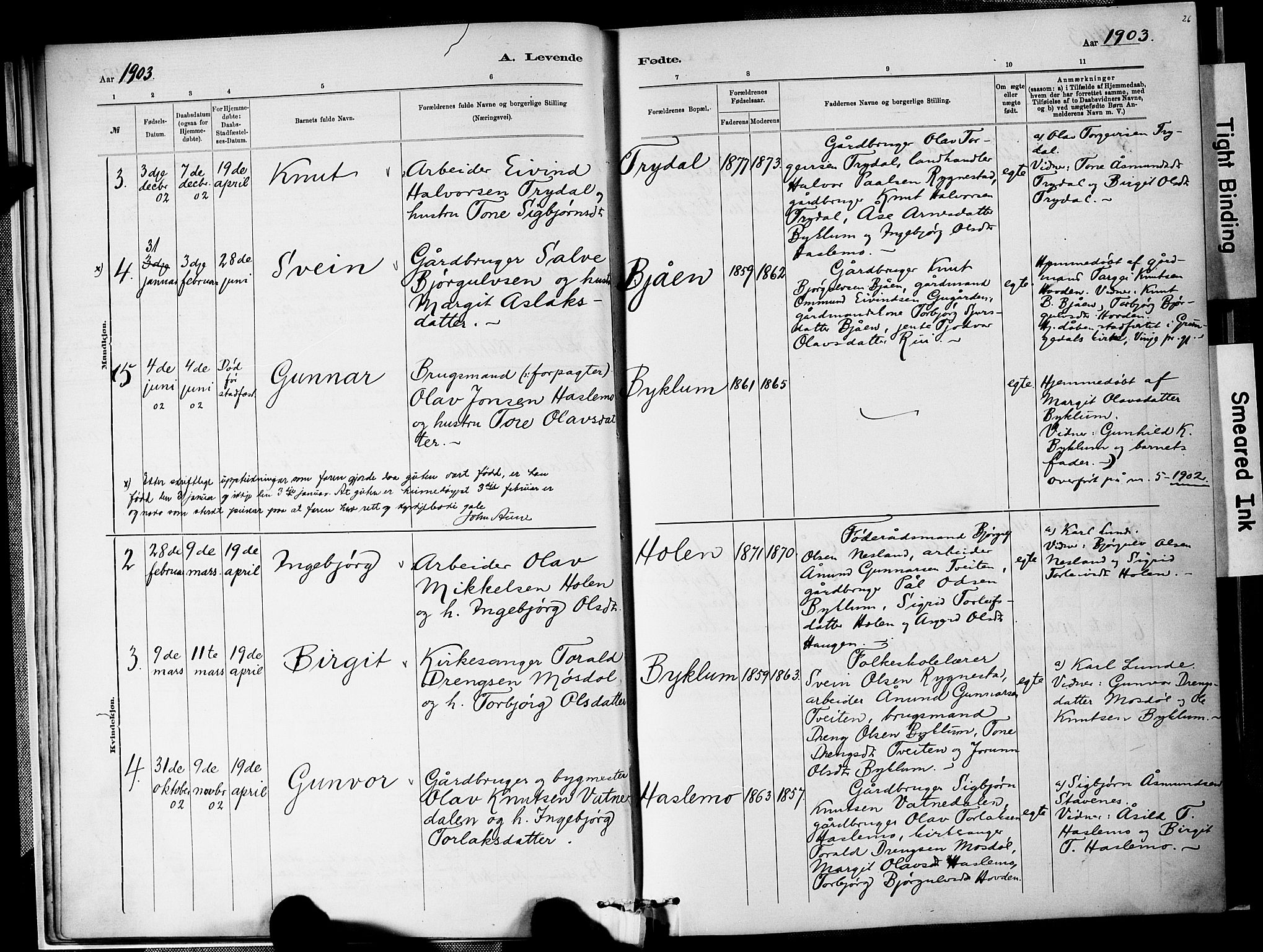 Valle sokneprestkontor, AV/SAK-1111-0044/F/Fa/Faa/L0001: Parish register (official) no. A 1, 1882-1907, p. 26