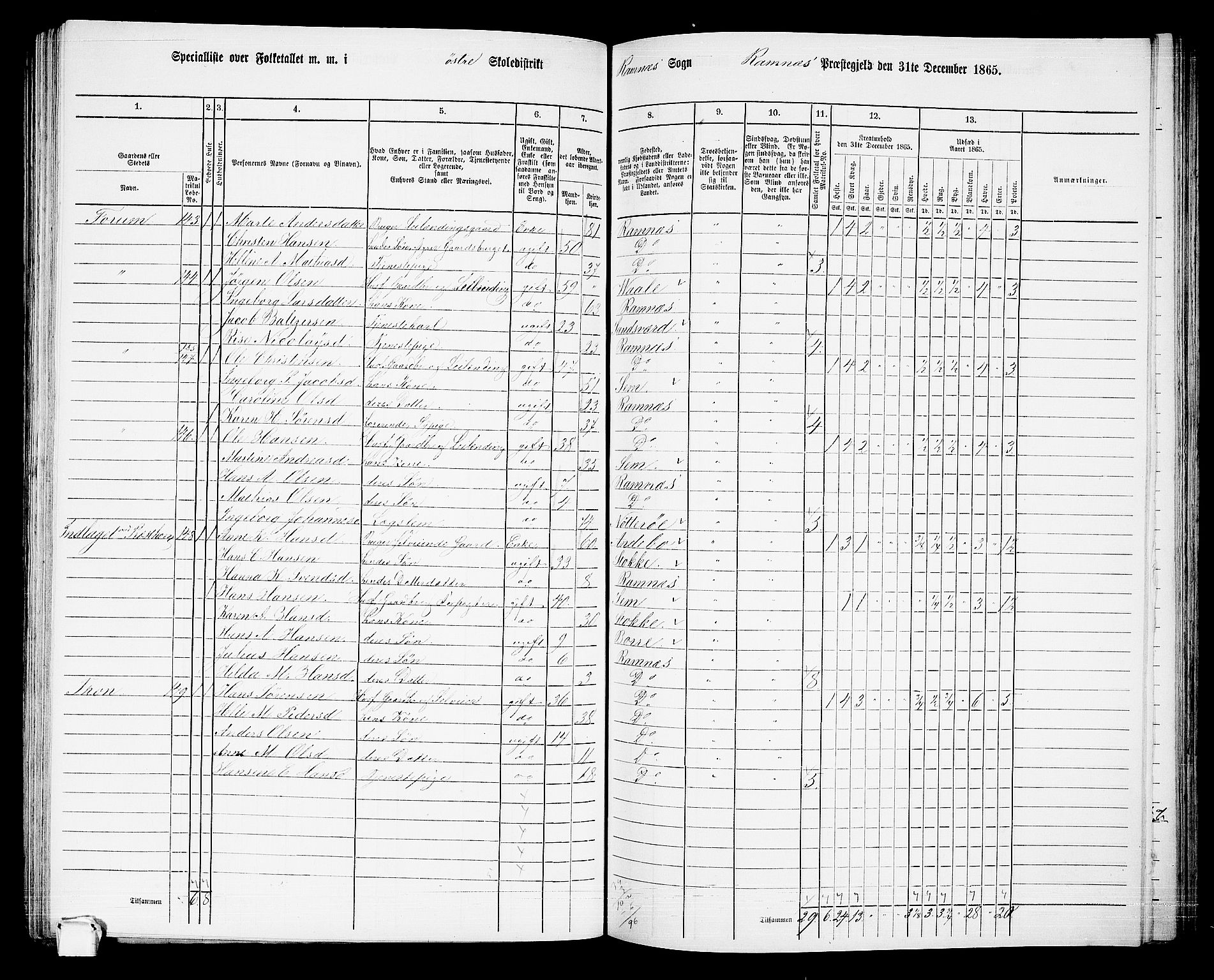 RA, 1865 census for Ramnes, 1865, p. 56