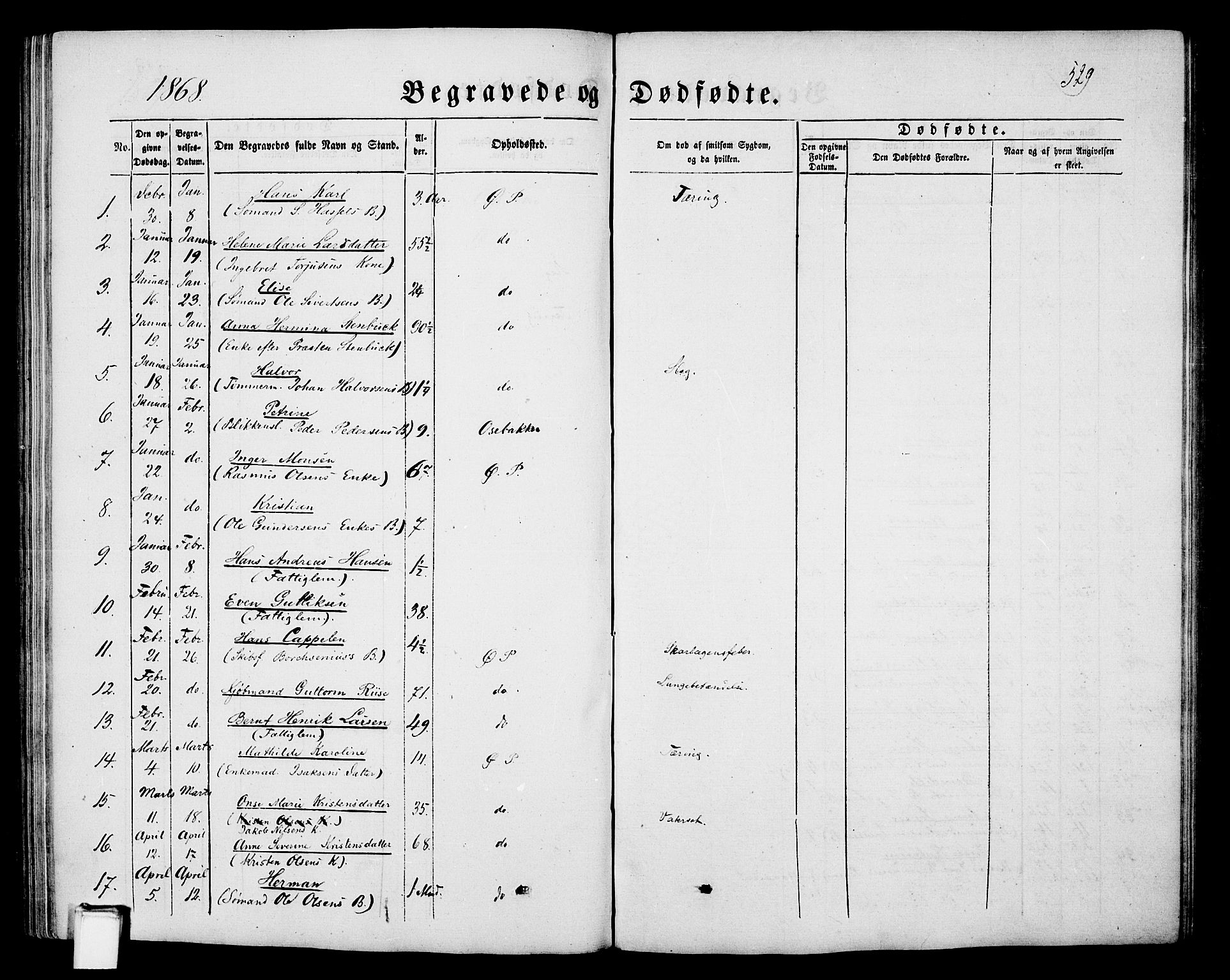 Porsgrunn kirkebøker , SAKO/A-104/G/Gb/L0004: Parish register (copy) no. II 4, 1853-1882, p. 529