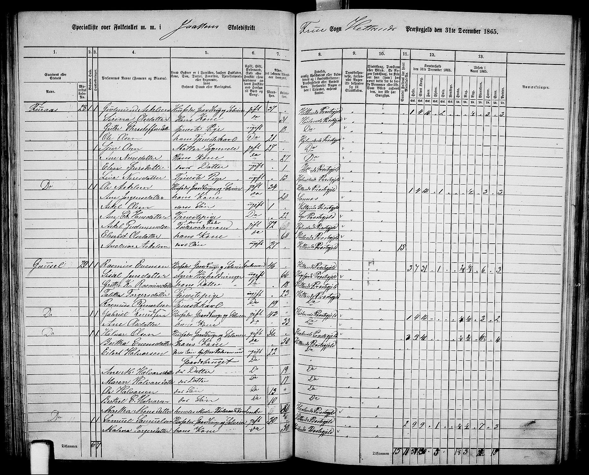 RA, 1865 census for Hetland, 1865, p. 91