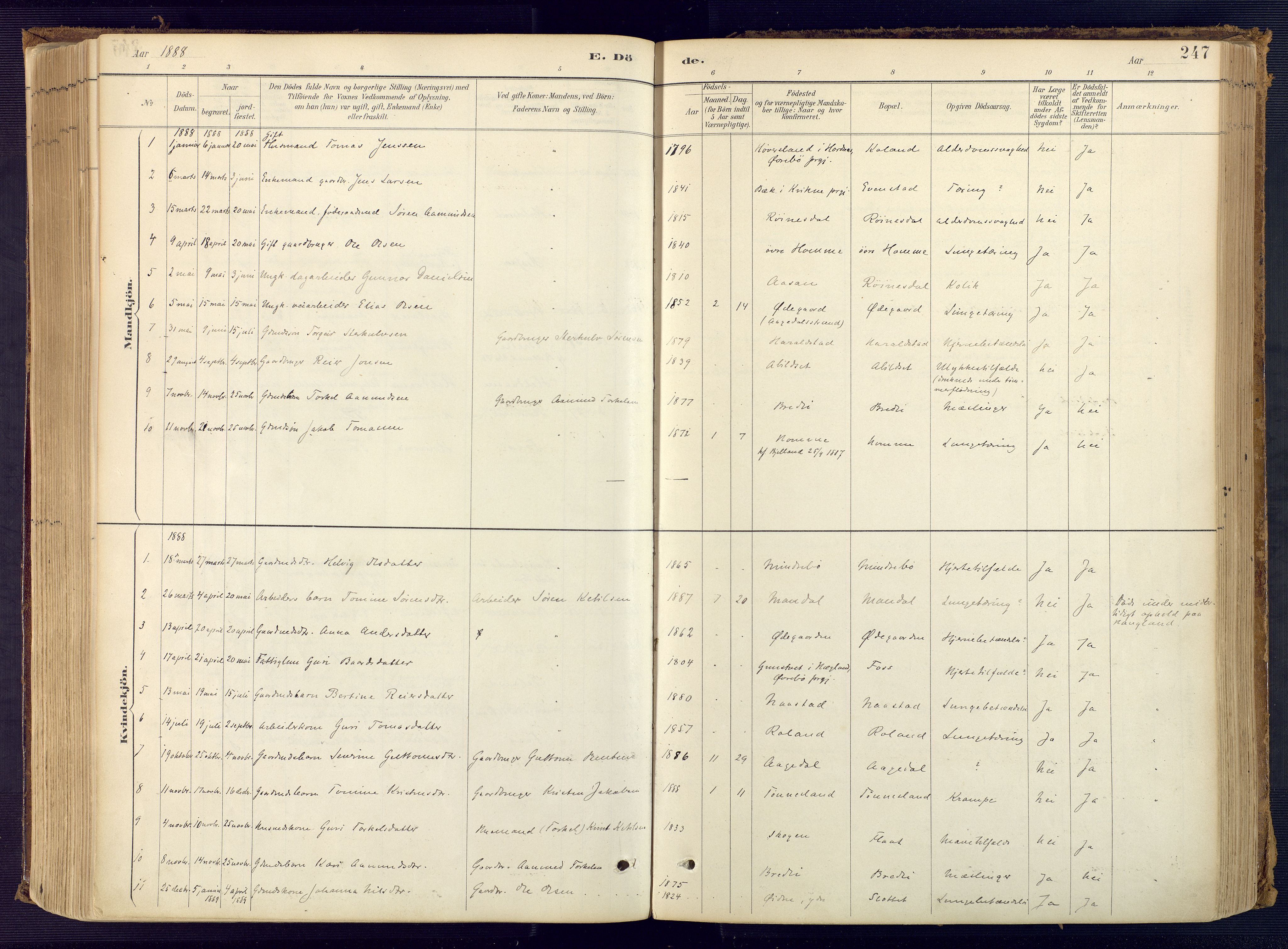 Bjelland sokneprestkontor, SAK/1111-0005/F/Fa/Faa/L0004: Parish register (official) no. A 4, 1887-1923, p. 247