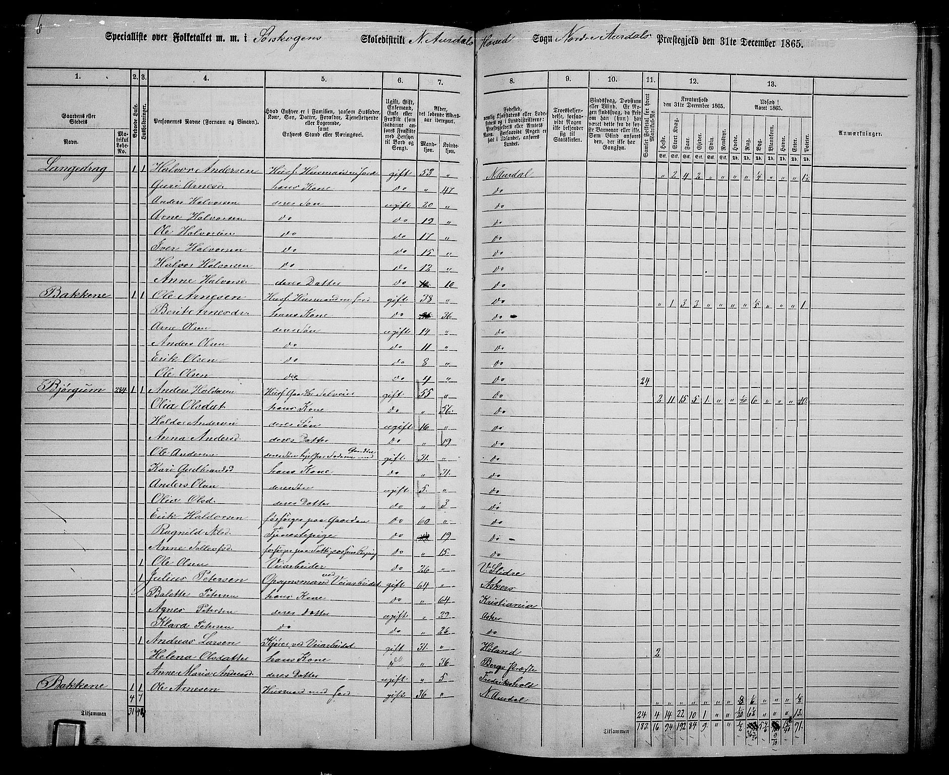 RA, 1865 census for Nord-Aurdal, 1865, p. 200