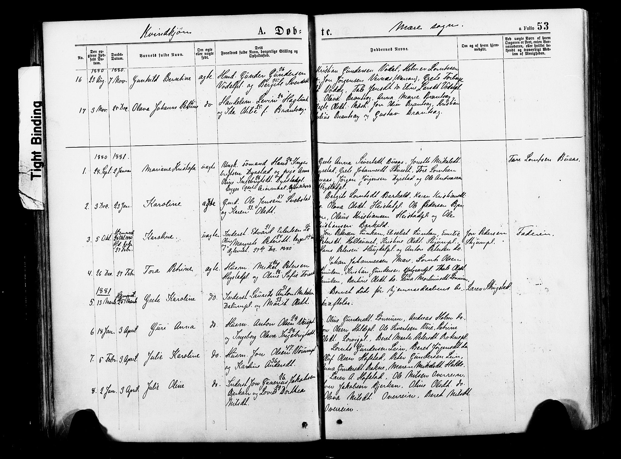 Ministerialprotokoller, klokkerbøker og fødselsregistre - Nord-Trøndelag, SAT/A-1458/735/L0348: Parish register (official) no. 735A09 /1, 1873-1883, p. 53