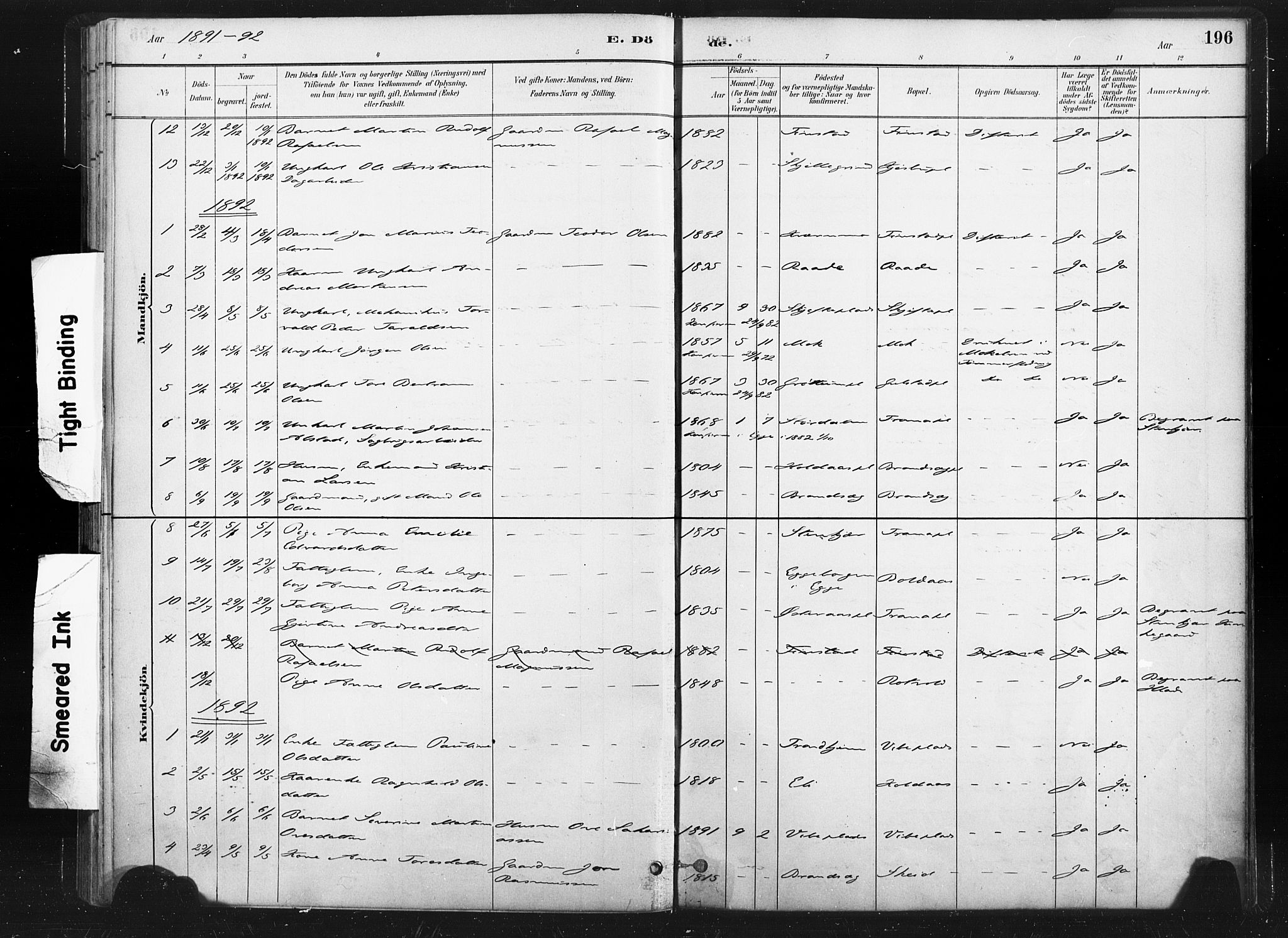 Ministerialprotokoller, klokkerbøker og fødselsregistre - Nord-Trøndelag, SAT/A-1458/736/L0361: Parish register (official) no. 736A01, 1884-1906, p. 196