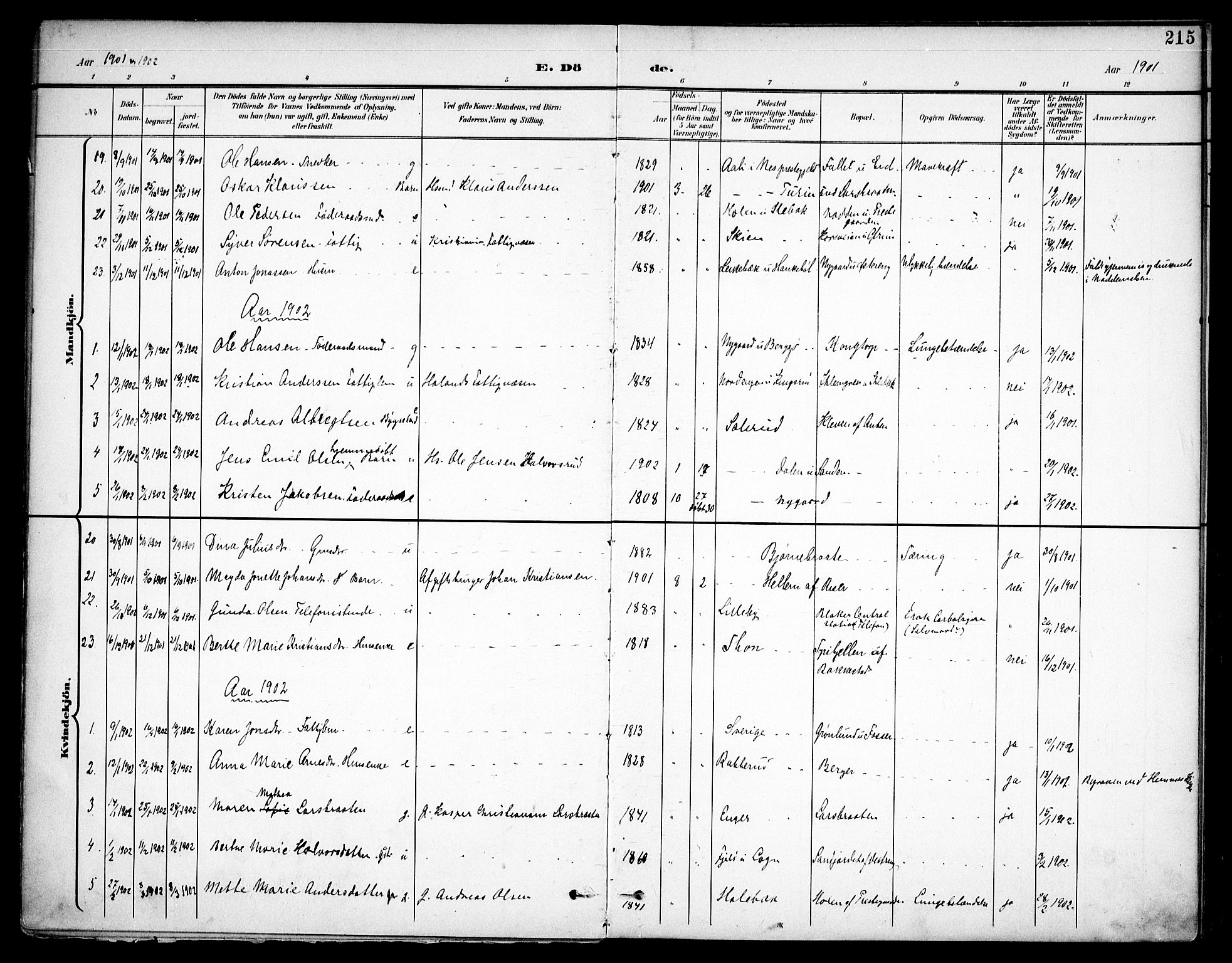 Høland prestekontor Kirkebøker, SAO/A-10346a/F/Fa/L0015: Parish register (official) no. I 15, 1897-1912, p. 215