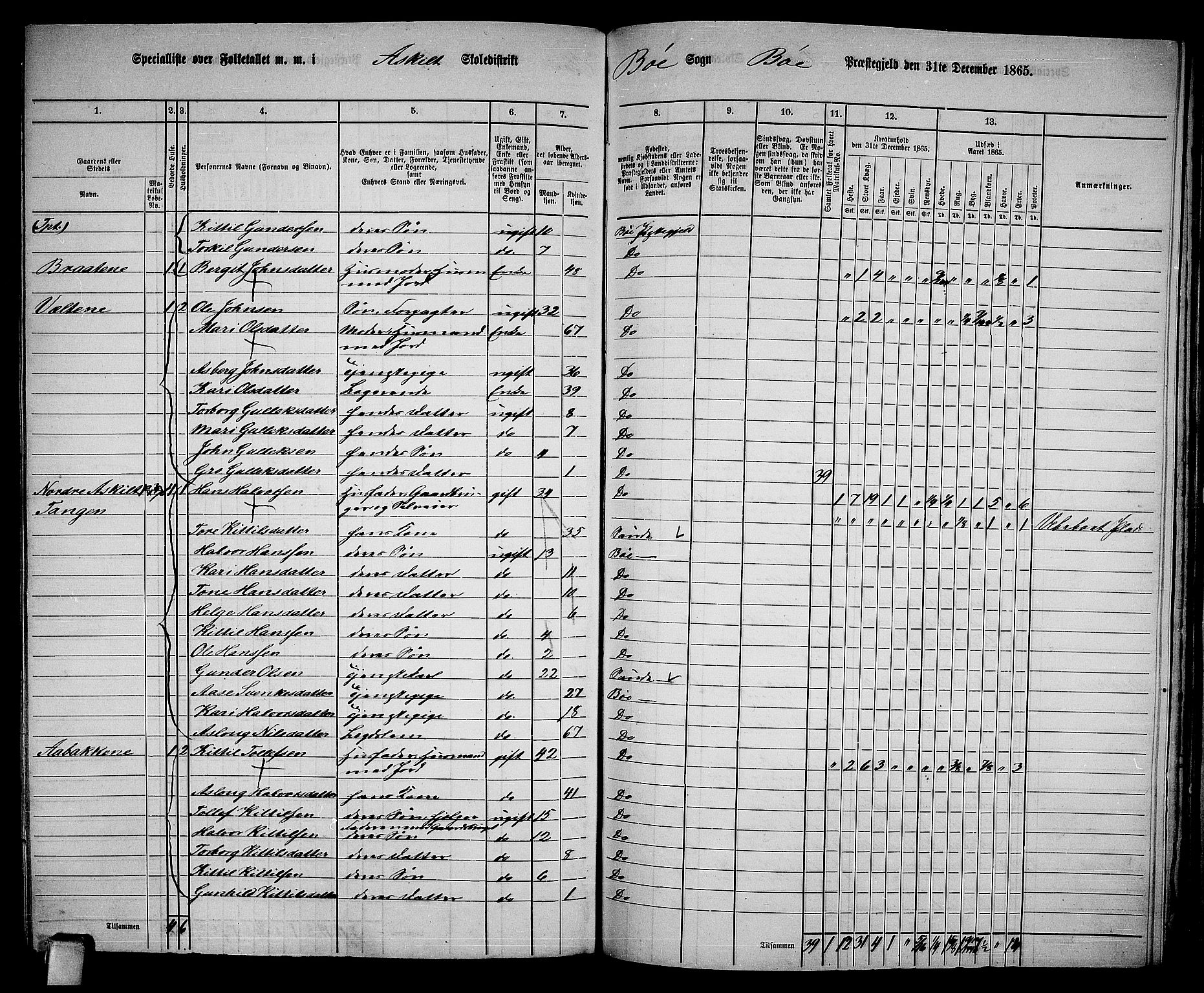 RA, 1865 census for Bø, 1865, p. 183