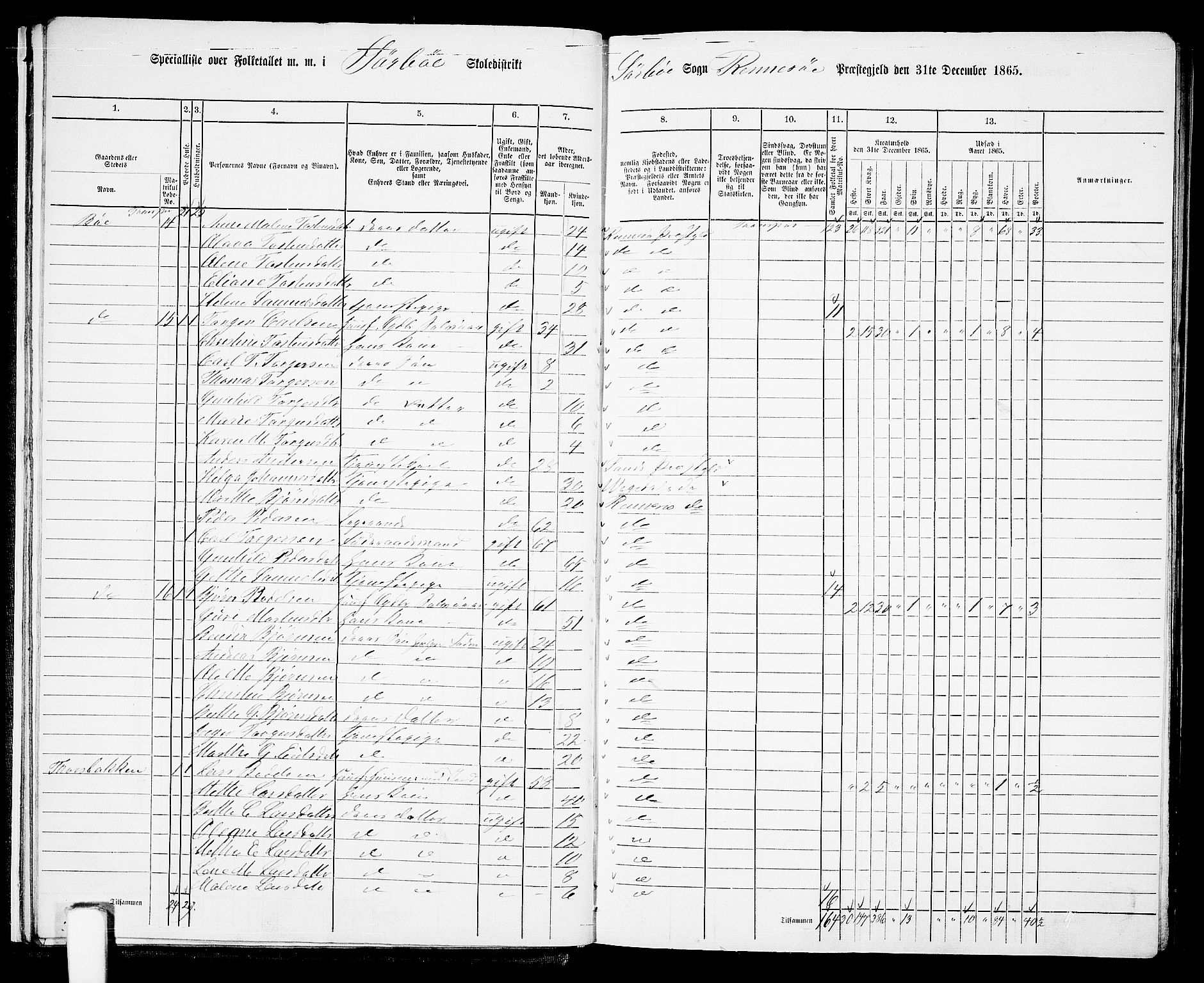 RA, 1865 census for Rennesøy, 1865, p. 15