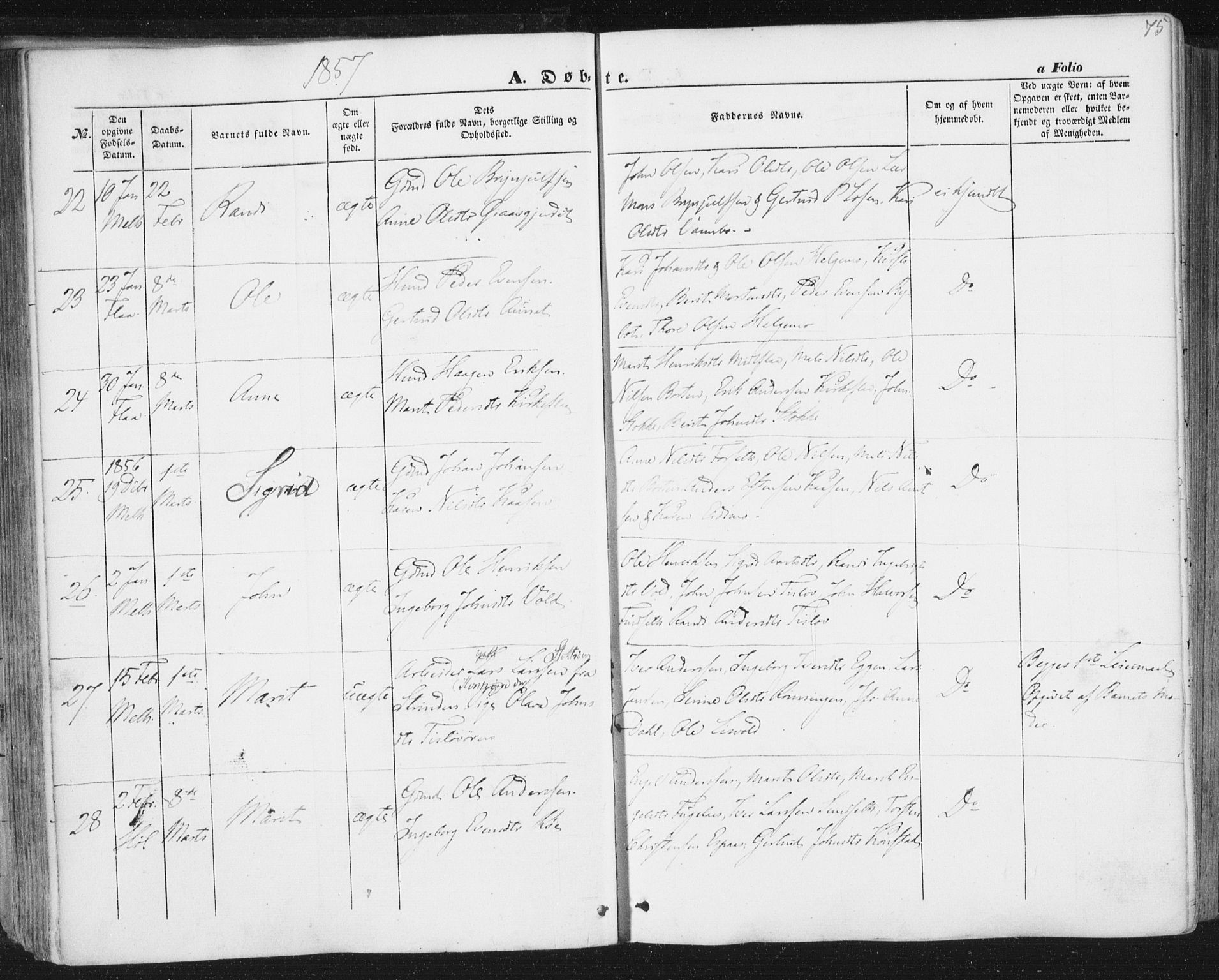 Ministerialprotokoller, klokkerbøker og fødselsregistre - Sør-Trøndelag, AV/SAT-A-1456/691/L1076: Parish register (official) no. 691A08, 1852-1861, p. 75