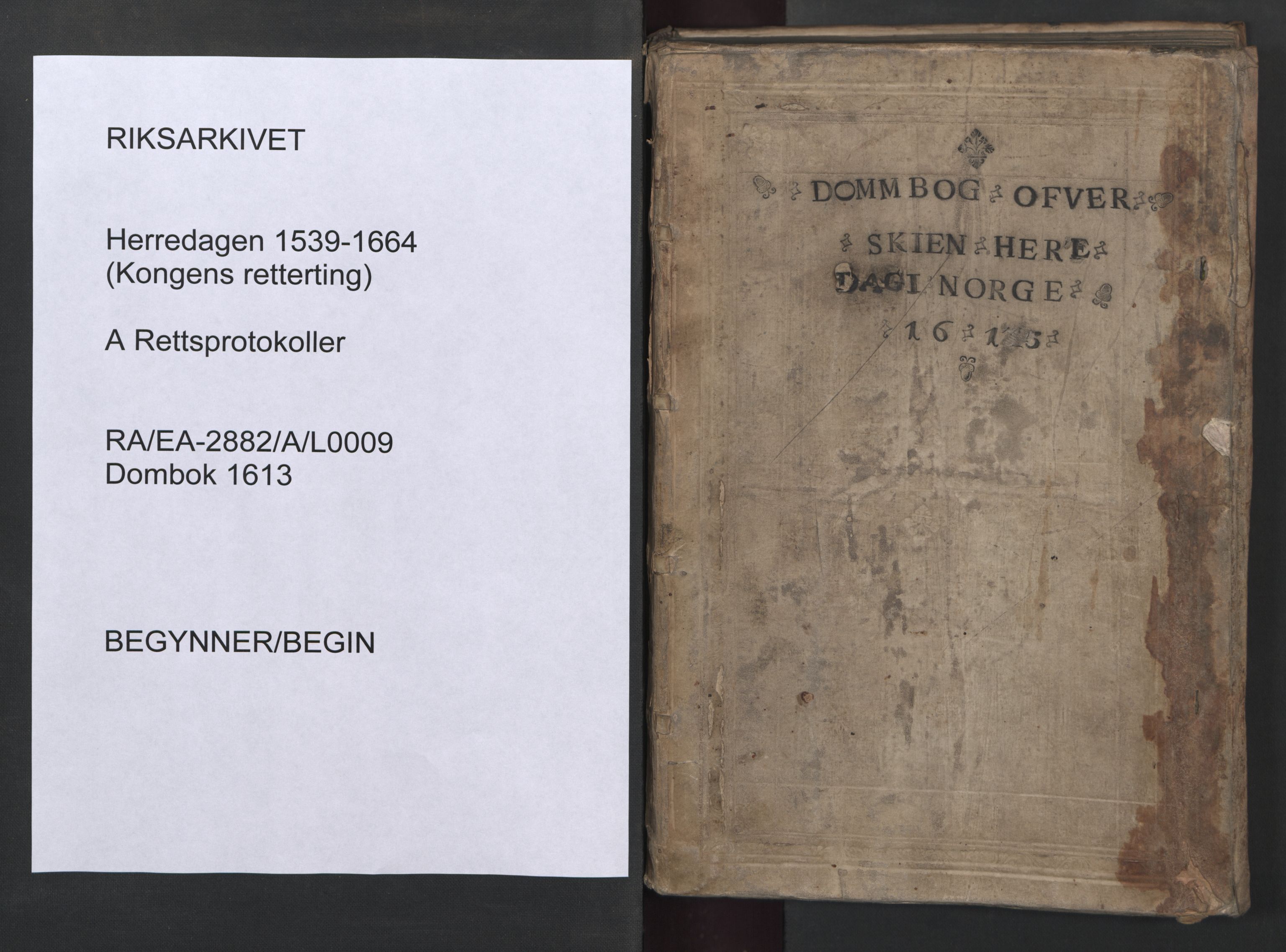 Herredagen 1539-1664  (Kongens Retterting), AV/RA-EA-2882/A/L0009: Dombok   Stevningsbok, 1613