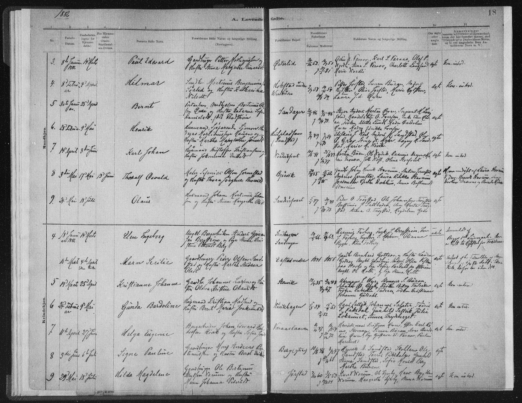 Ministerialprotokoller, klokkerbøker og fødselsregistre - Nord-Trøndelag, SAT/A-1458/722/L0220: Parish register (official) no. 722A07, 1881-1908, p. 18