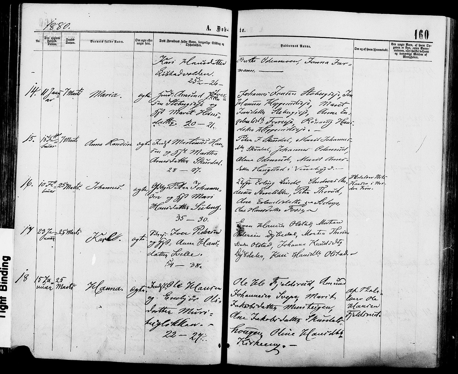 Sør-Fron prestekontor, SAH/PREST-010/H/Ha/Haa/L0002: Parish register (official) no. 2, 1864-1880, p. 160