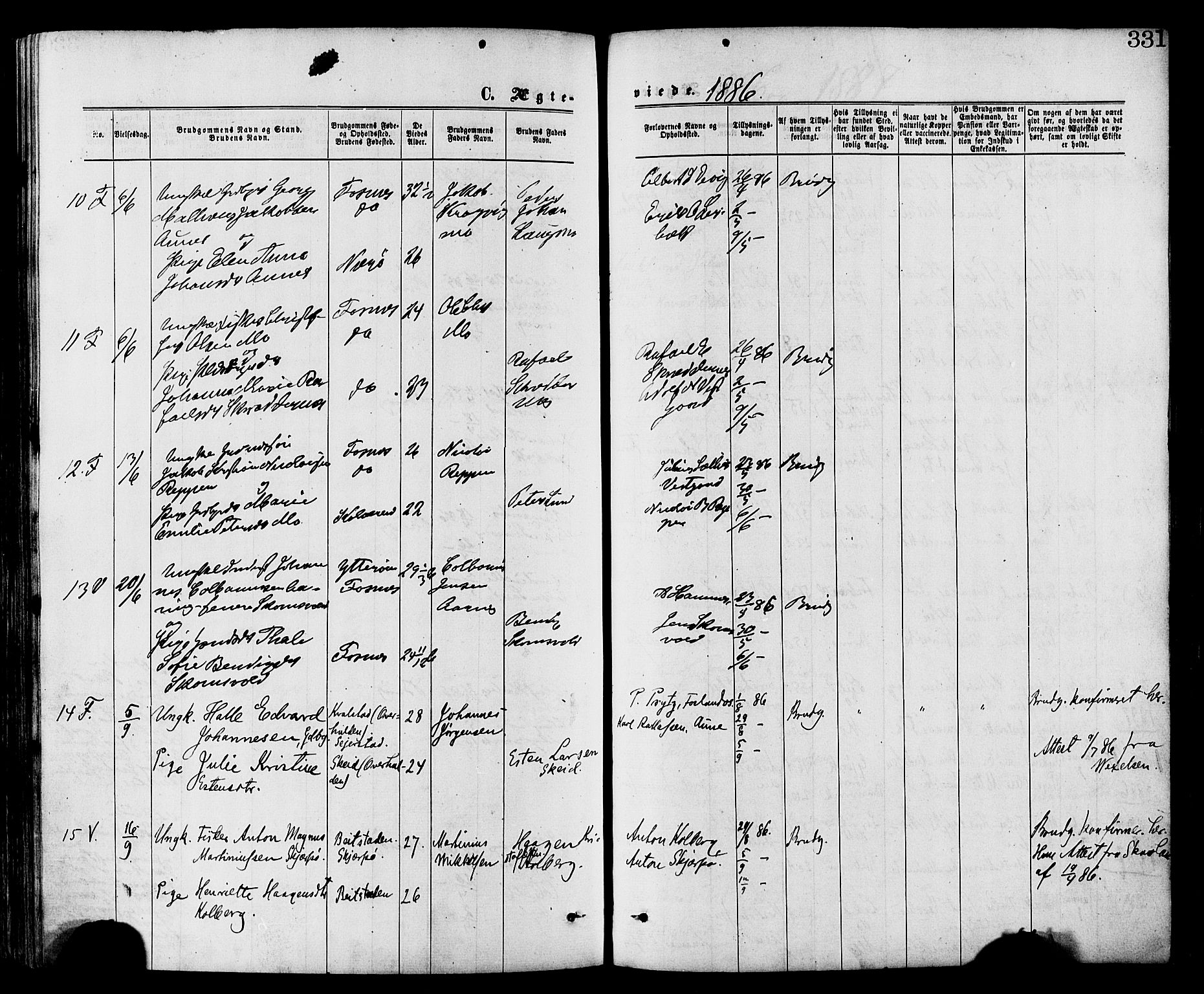 Ministerialprotokoller, klokkerbøker og fødselsregistre - Nord-Trøndelag, SAT/A-1458/773/L0616: Parish register (official) no. 773A07, 1870-1887, p. 331